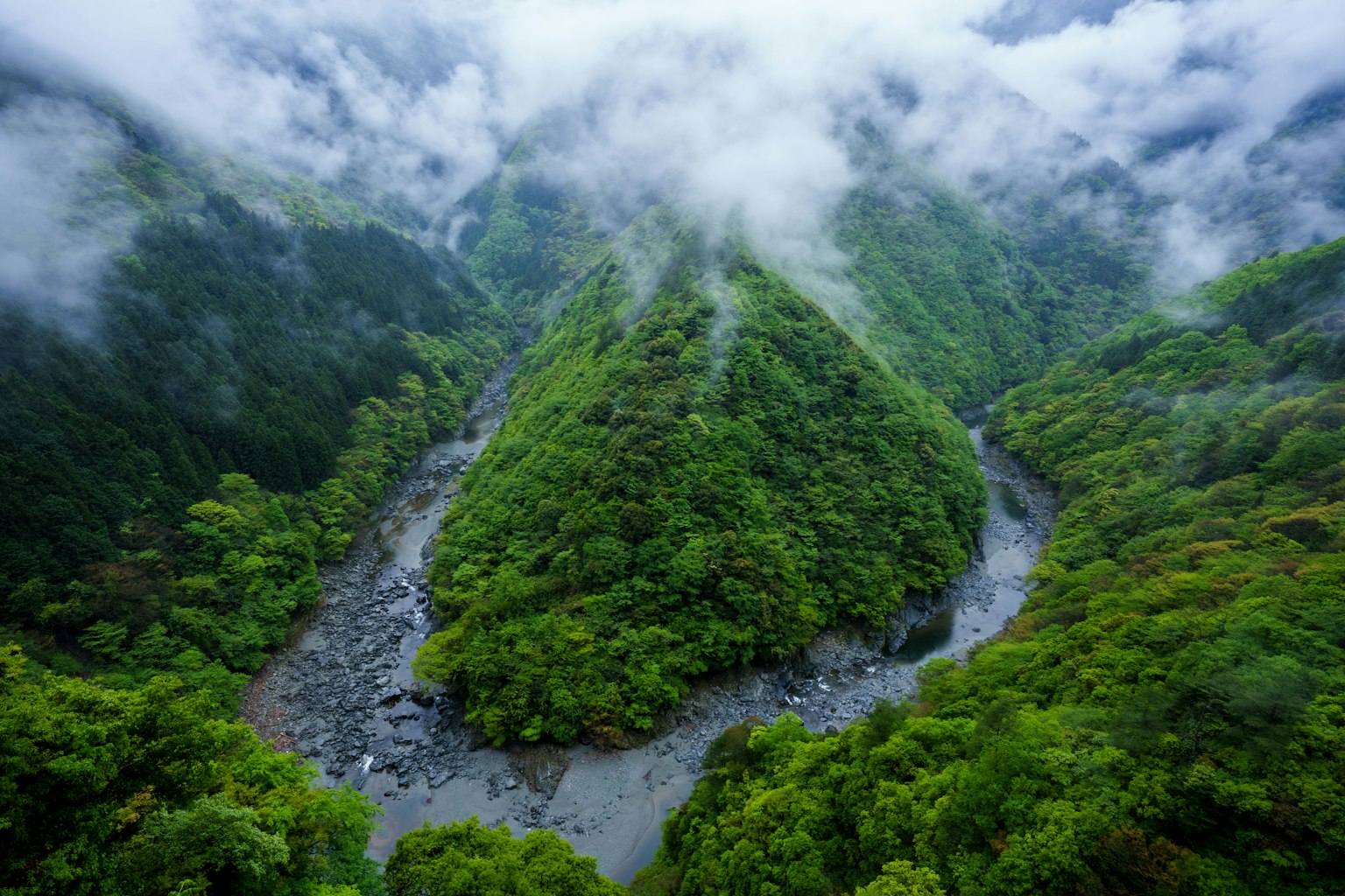 Une vue pittoresque de montagnes verdoyantes et d'une rivière enveloppée de brume