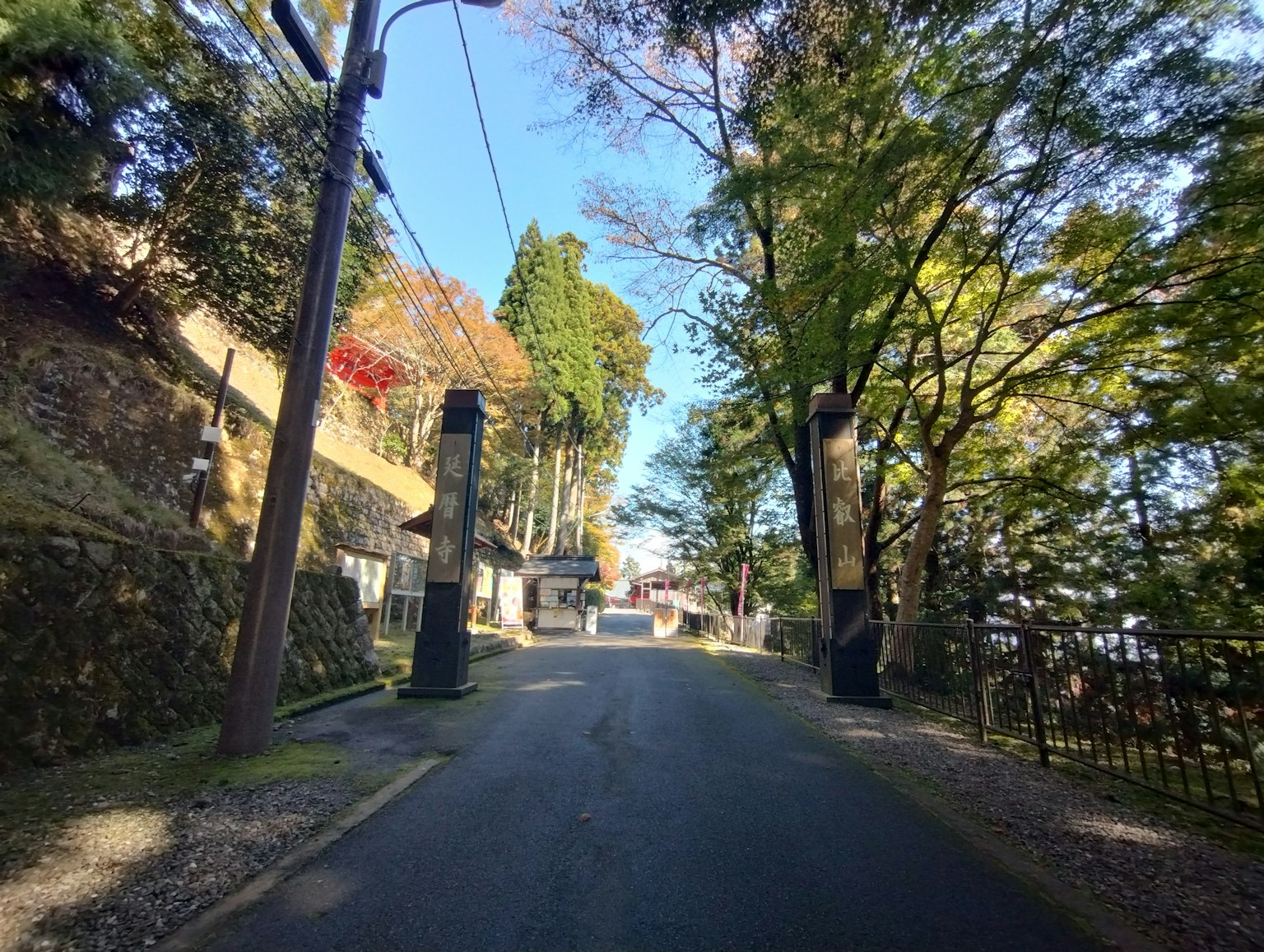 一条被绿色树木环绕的风景道路，住宅入口可见