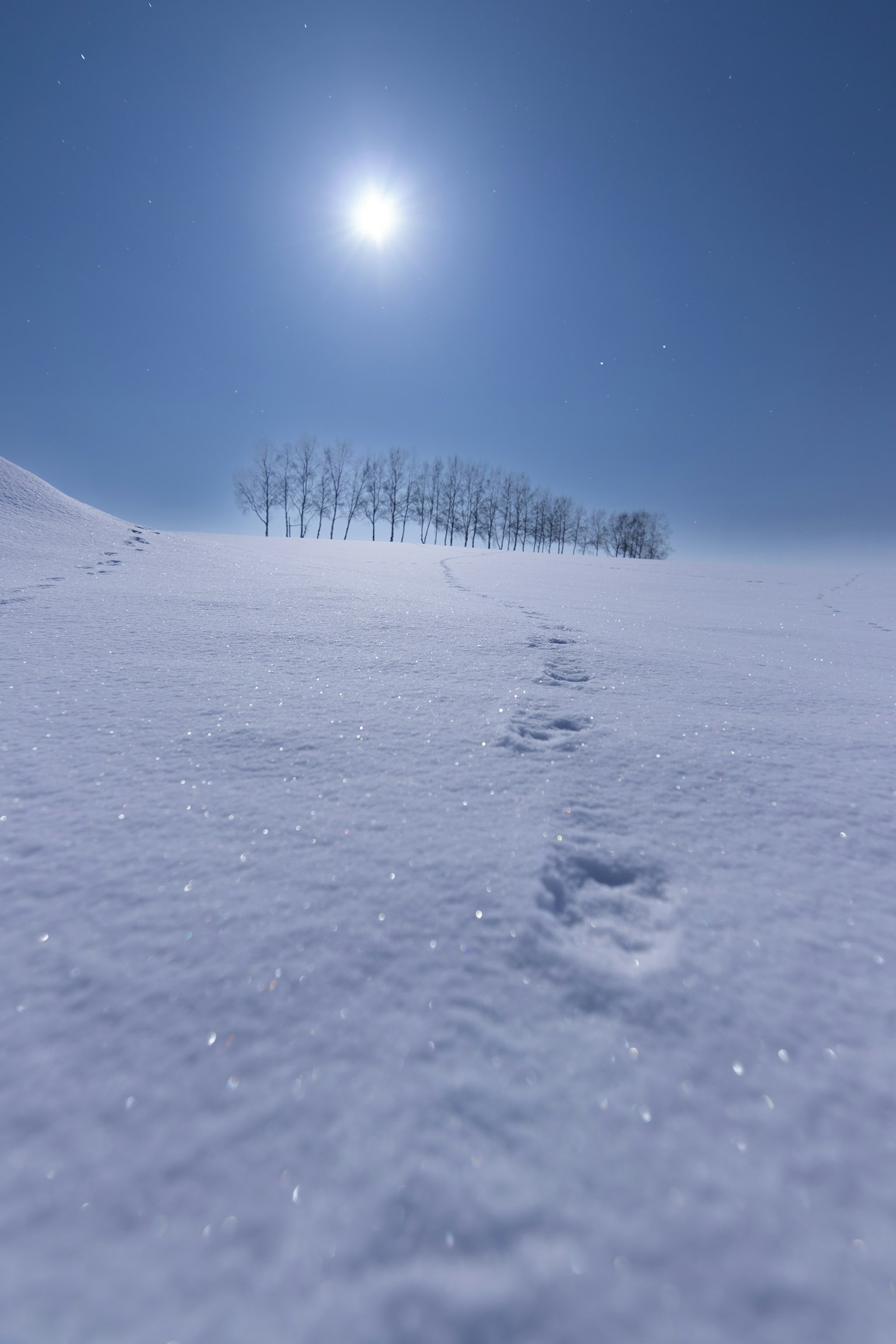 Paisaje nevado con huellas bajo la luz de la luna