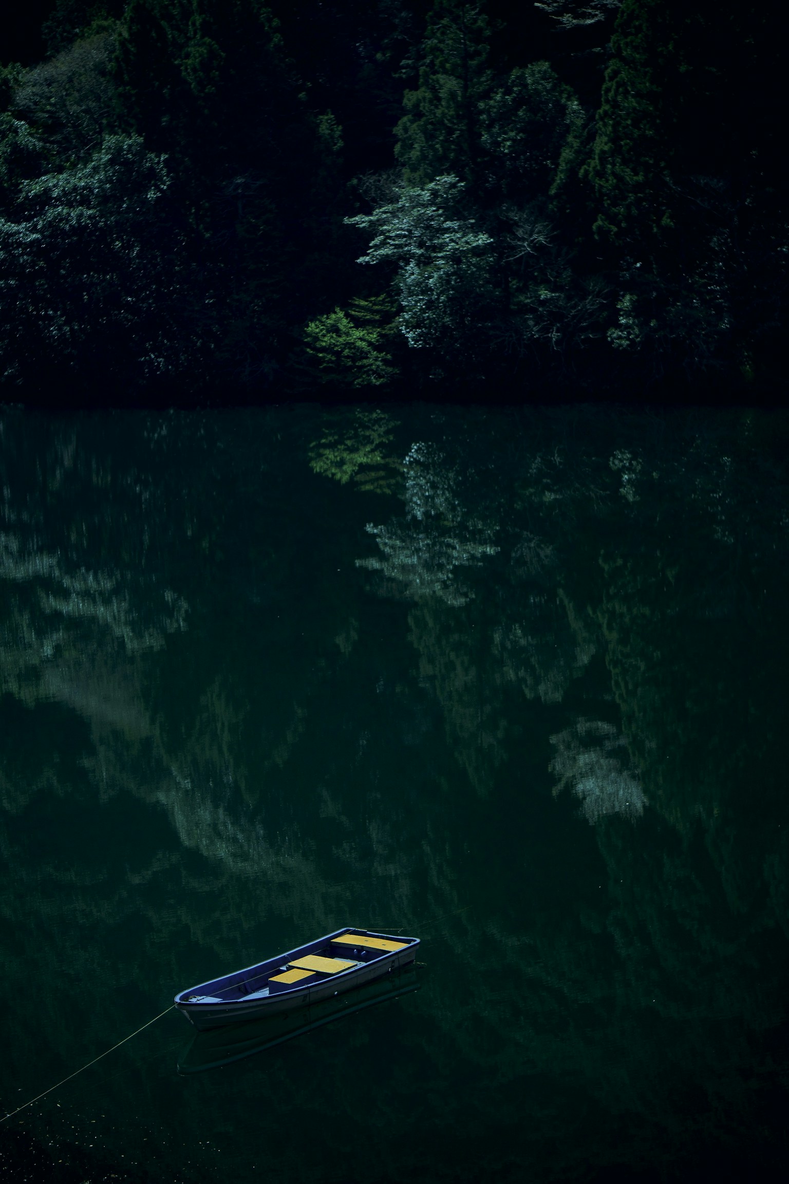photo-FLQRxIFLl3HbOcpH3urc-image