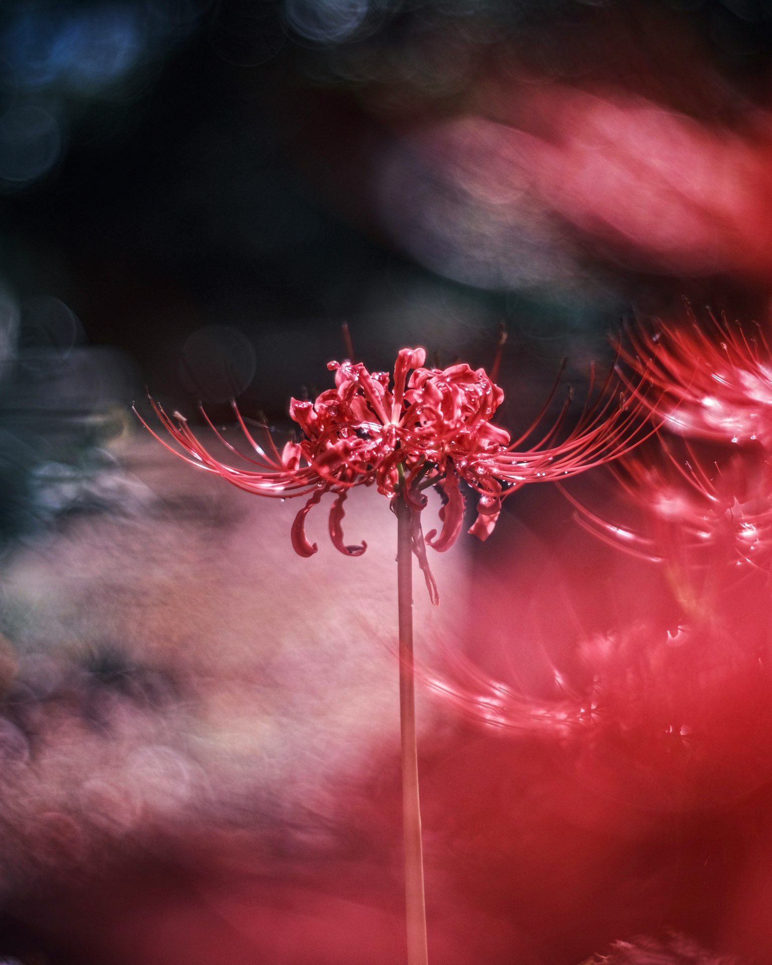 photo-FLTnVYudBcBTdZz2qtz1-image