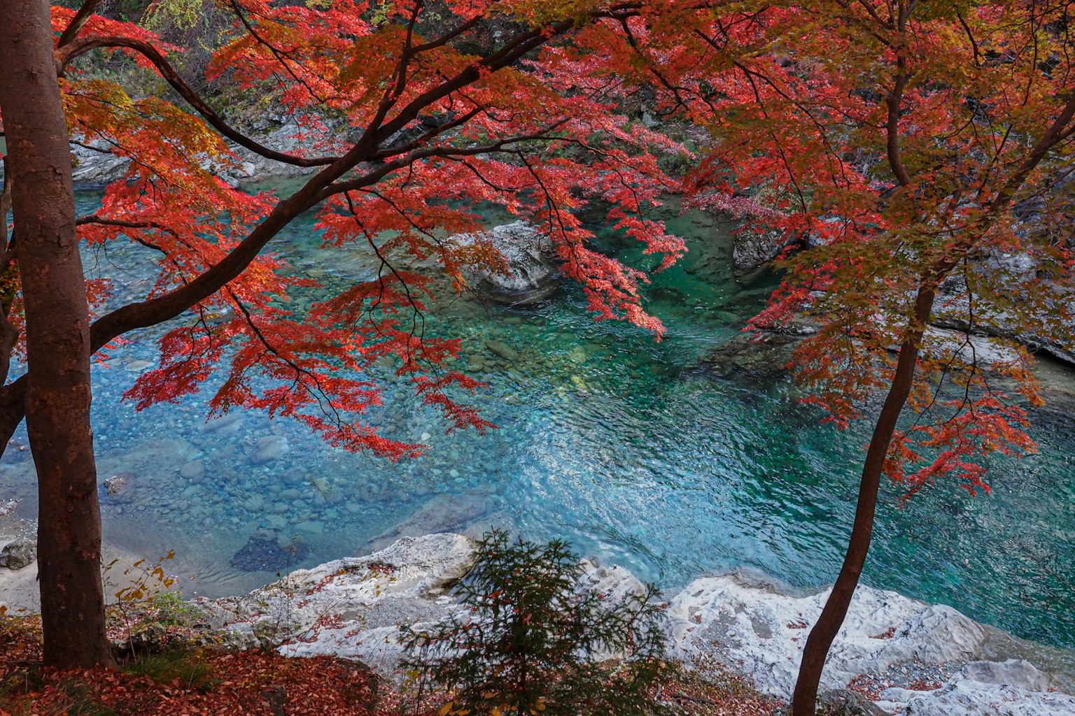 Malersicher Blick auf einen Fluss mit lebhaftem Herbstlaub