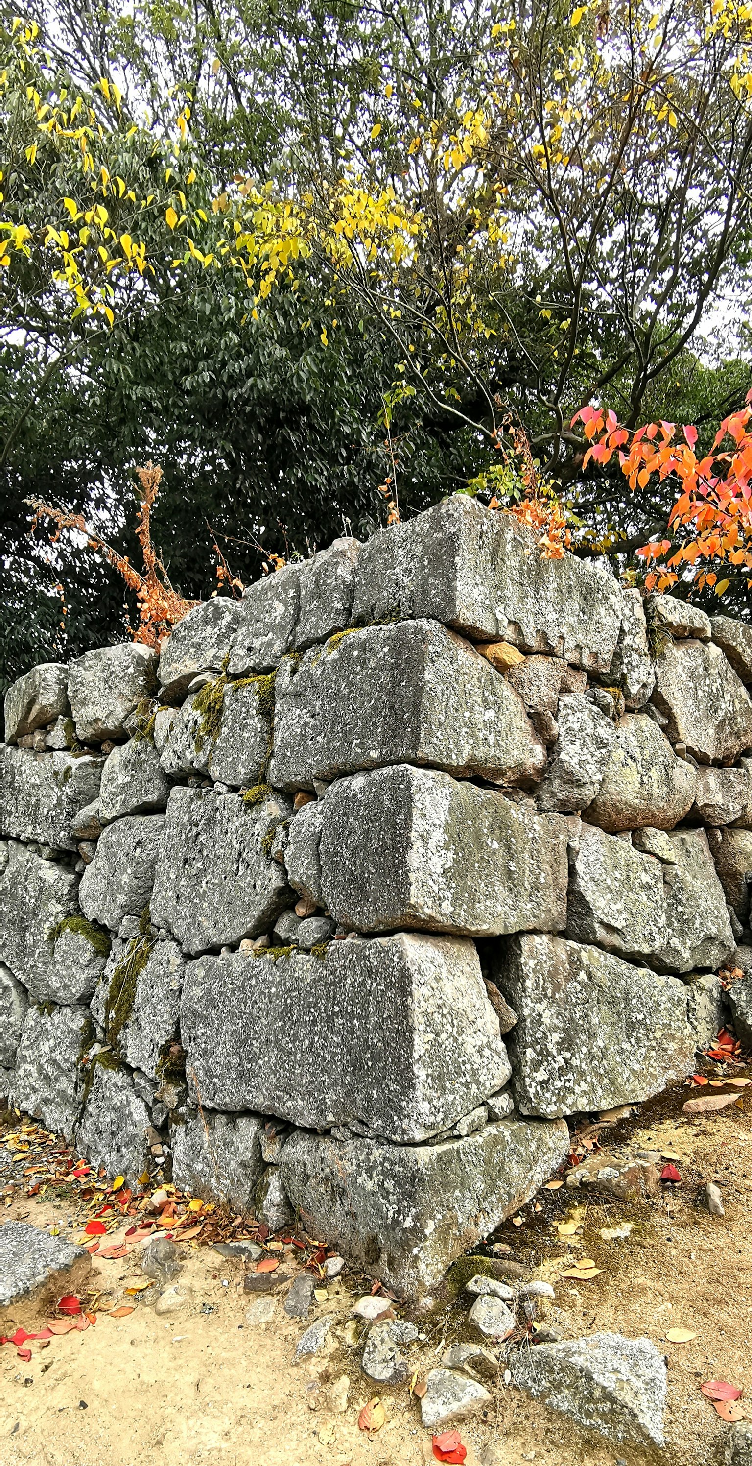 Corner of an ancient stone wall with colorful leaves