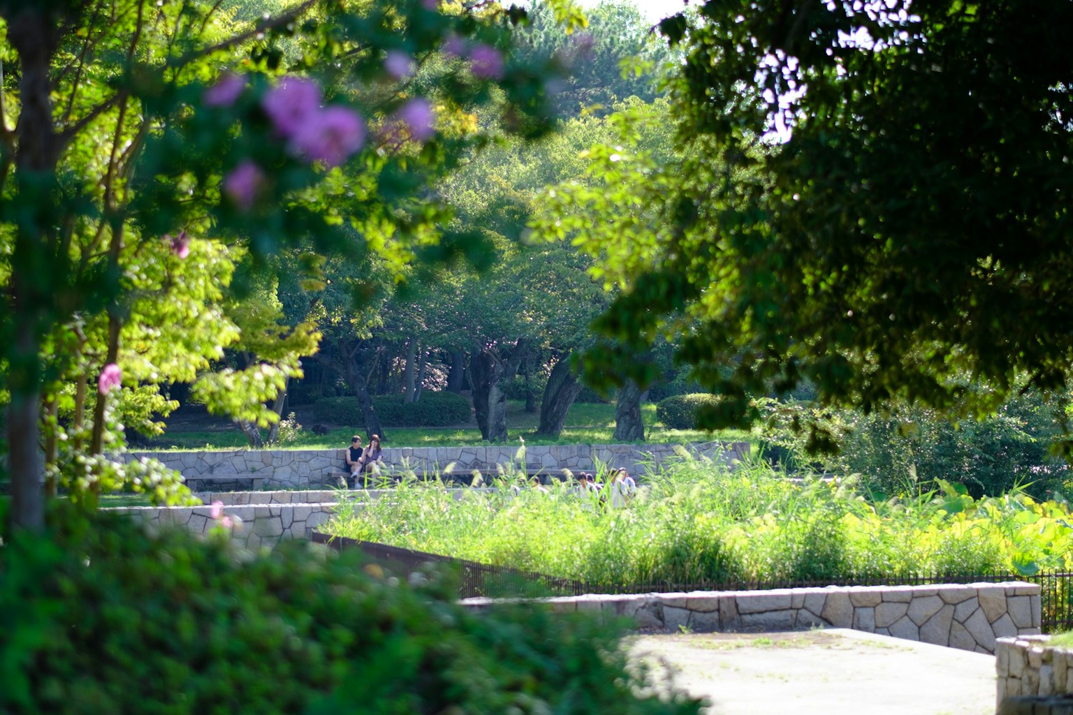 緑豊かな公園の風景に咲く花と人々の姿
