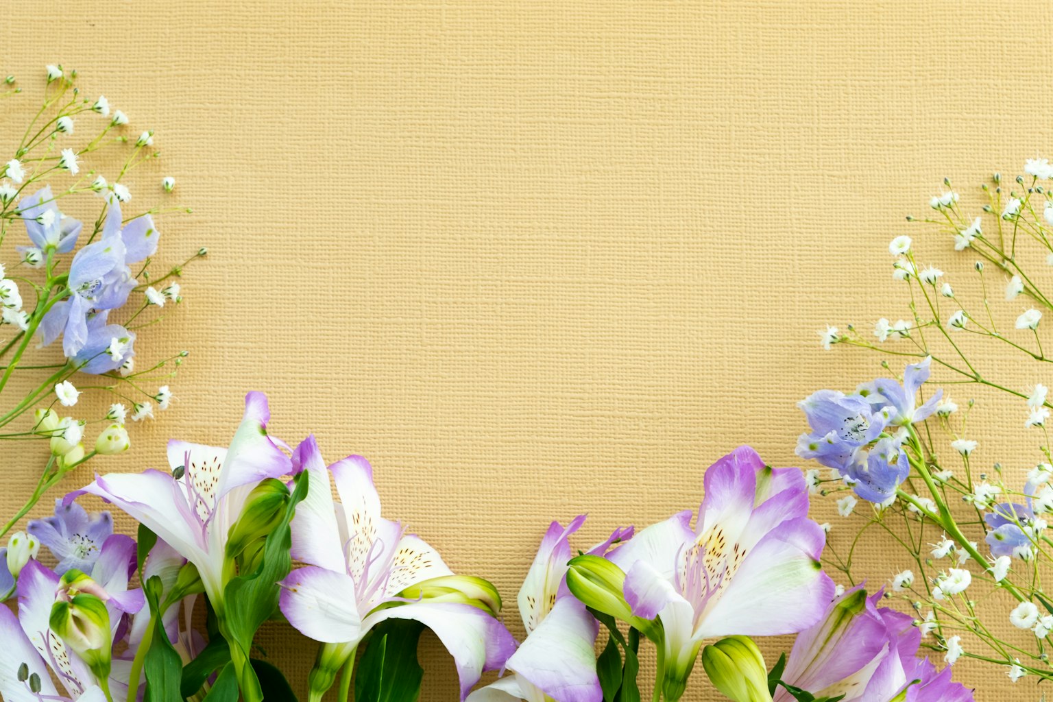 Fiori delicati con accenti viola e fiori bianchi che incorniciano uno sfondo giallo morbido
