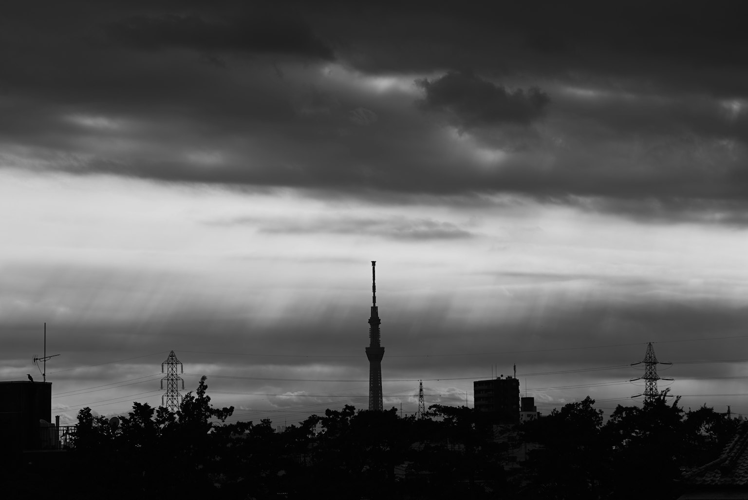 黑白天際線，東京晴空塔在多雲的天空下