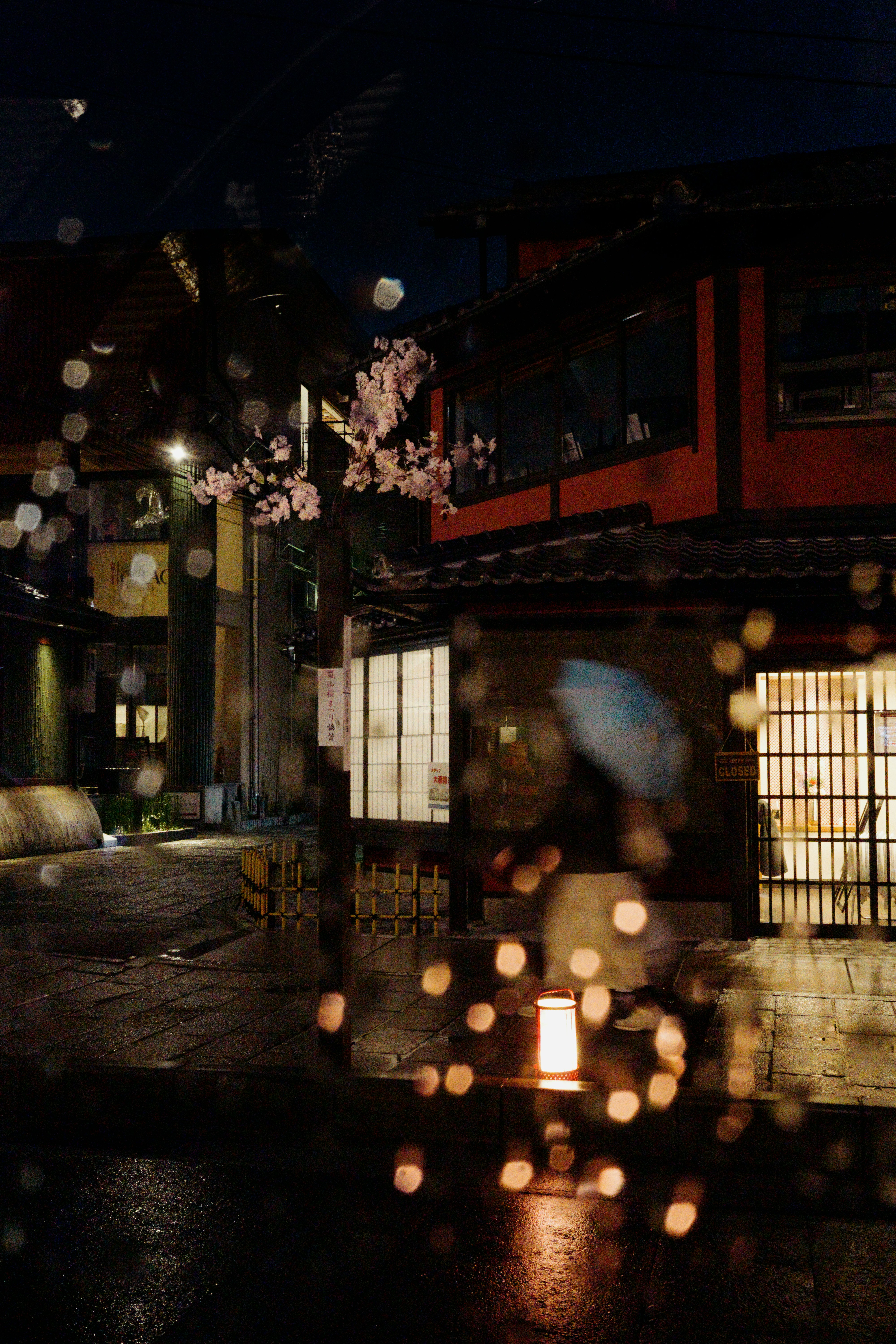 photo-FMtKx8lfrmF8y93fsBgp-image