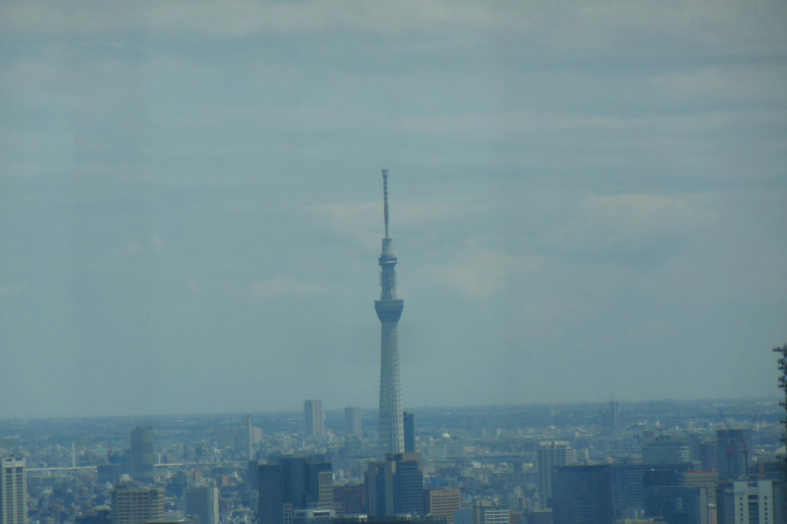 城市風景與東京晴空塔