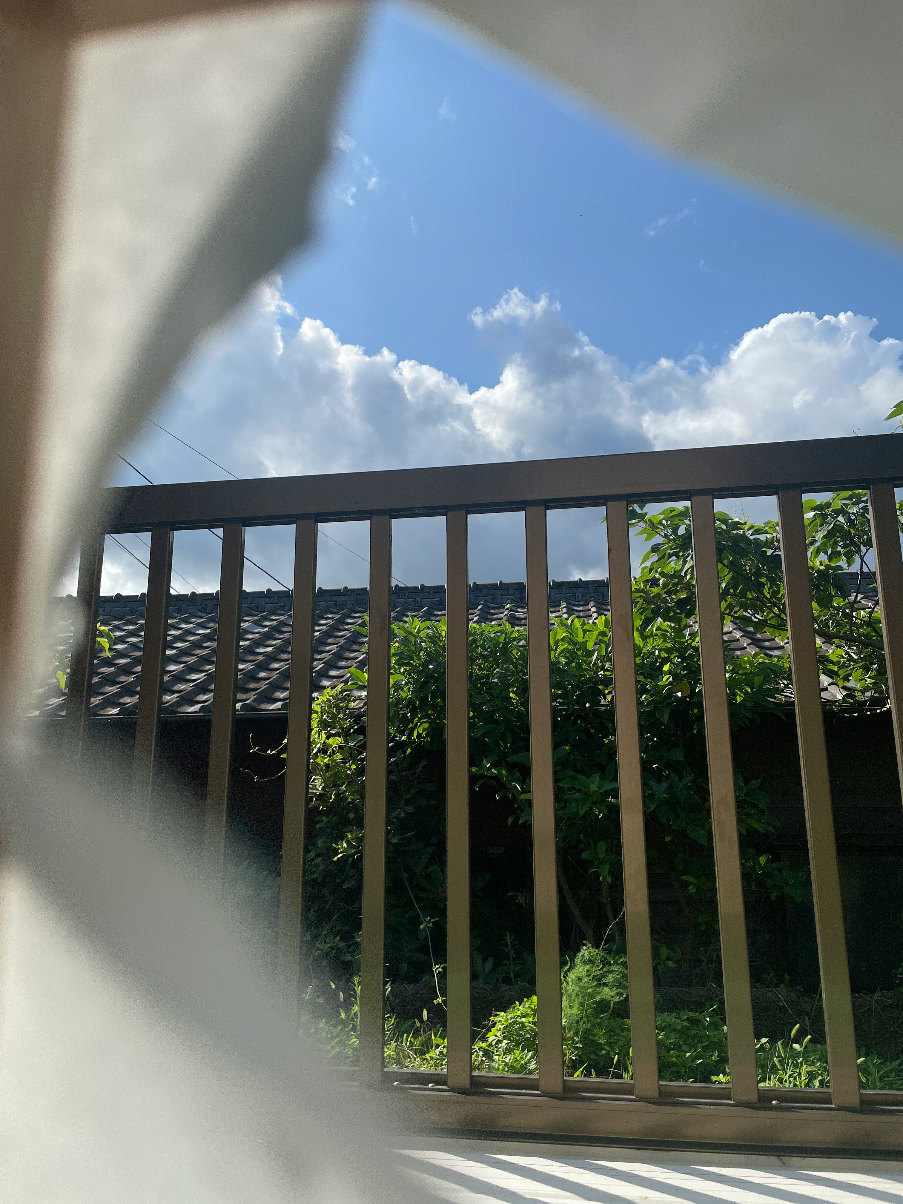 破れたしょうじ越しに見える青空と海の景色