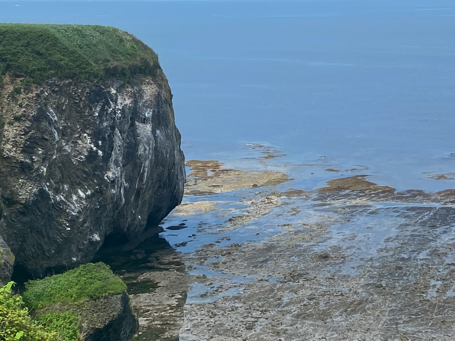 低潮時露出的海床和海岸懸崖
