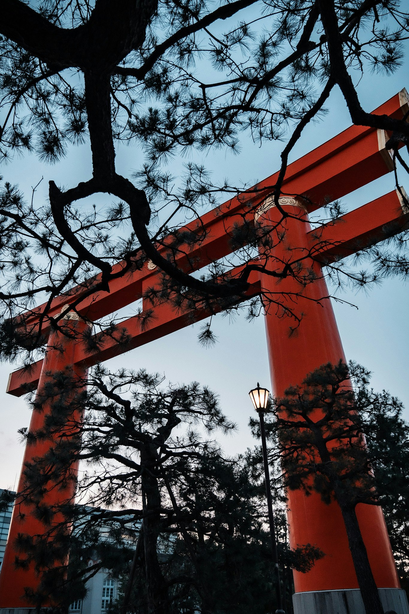 平安神宮の朱色の大鳥居と木々の枝が重なる空の下の景観