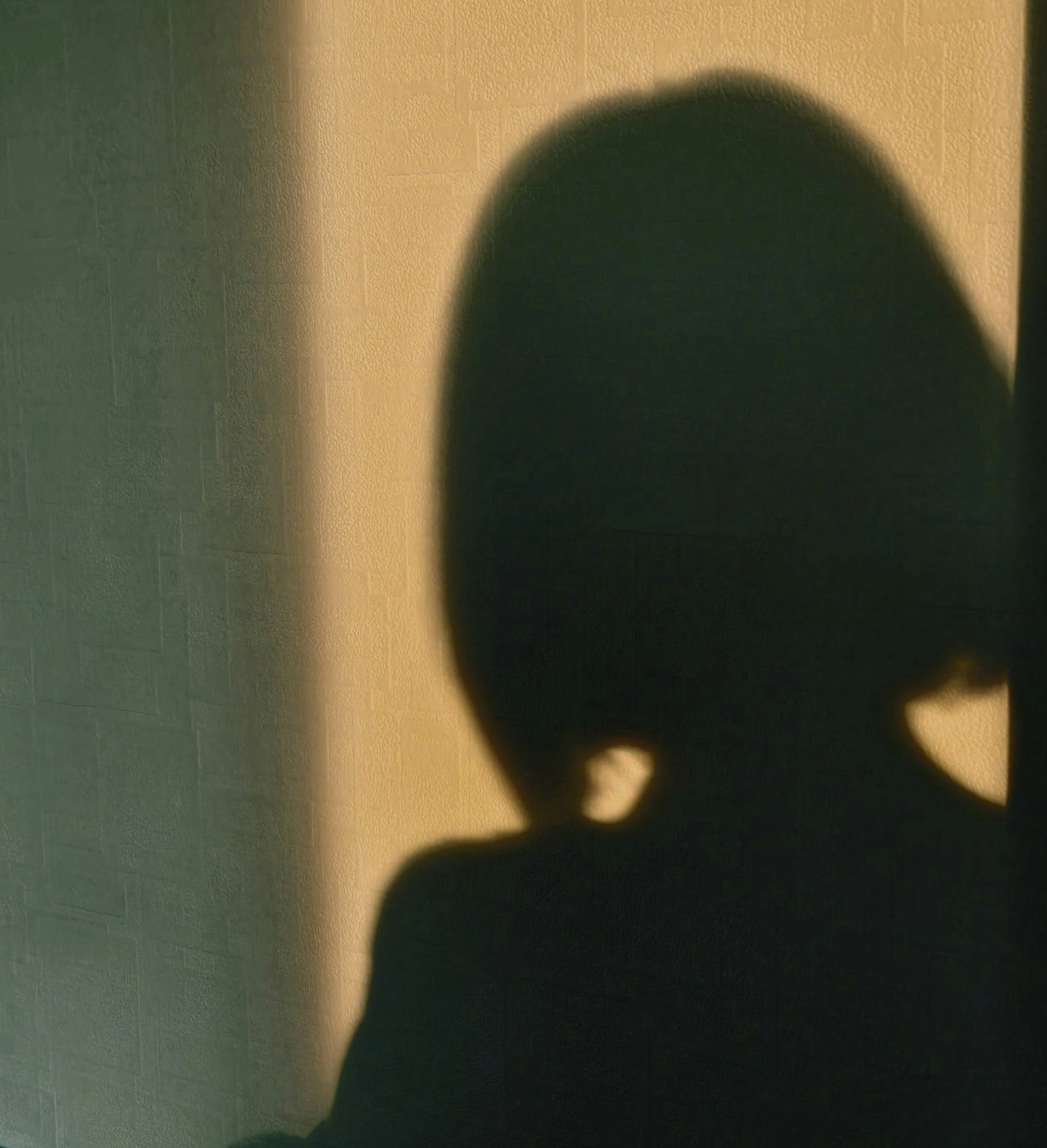 photo-FOnFWNU7CEET6Rpz8qV4-image