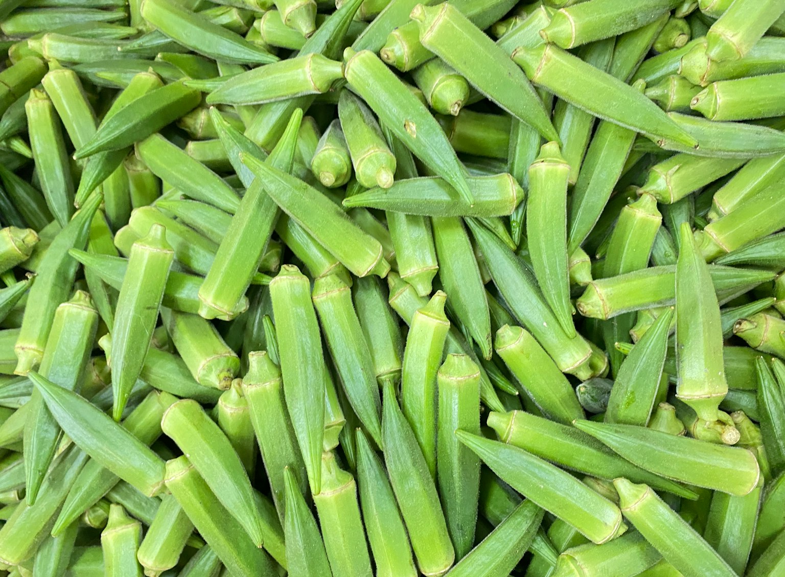 Fresh okra pods piled together