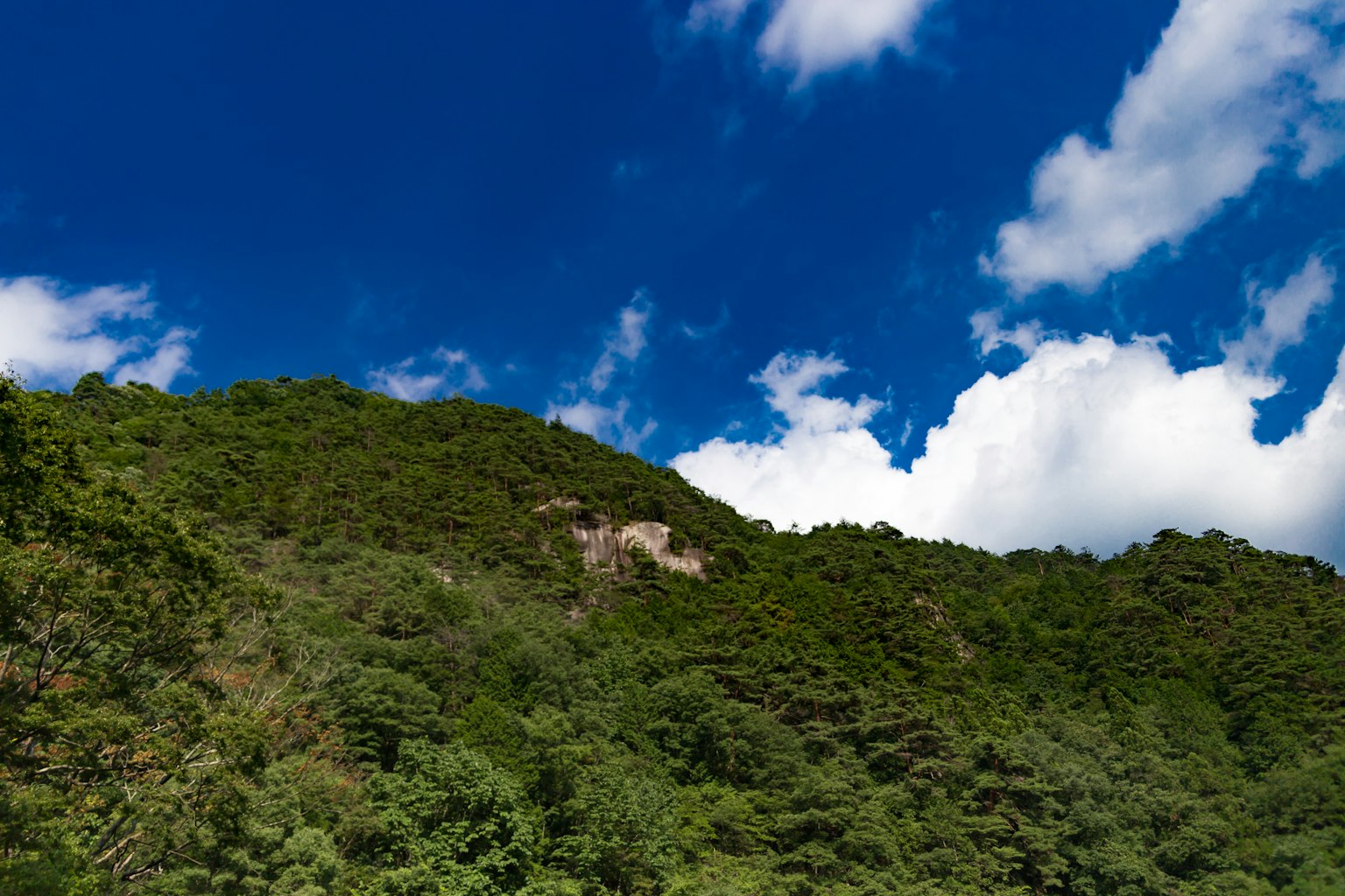 Lush green hillside under a bright blue sky with white clouds