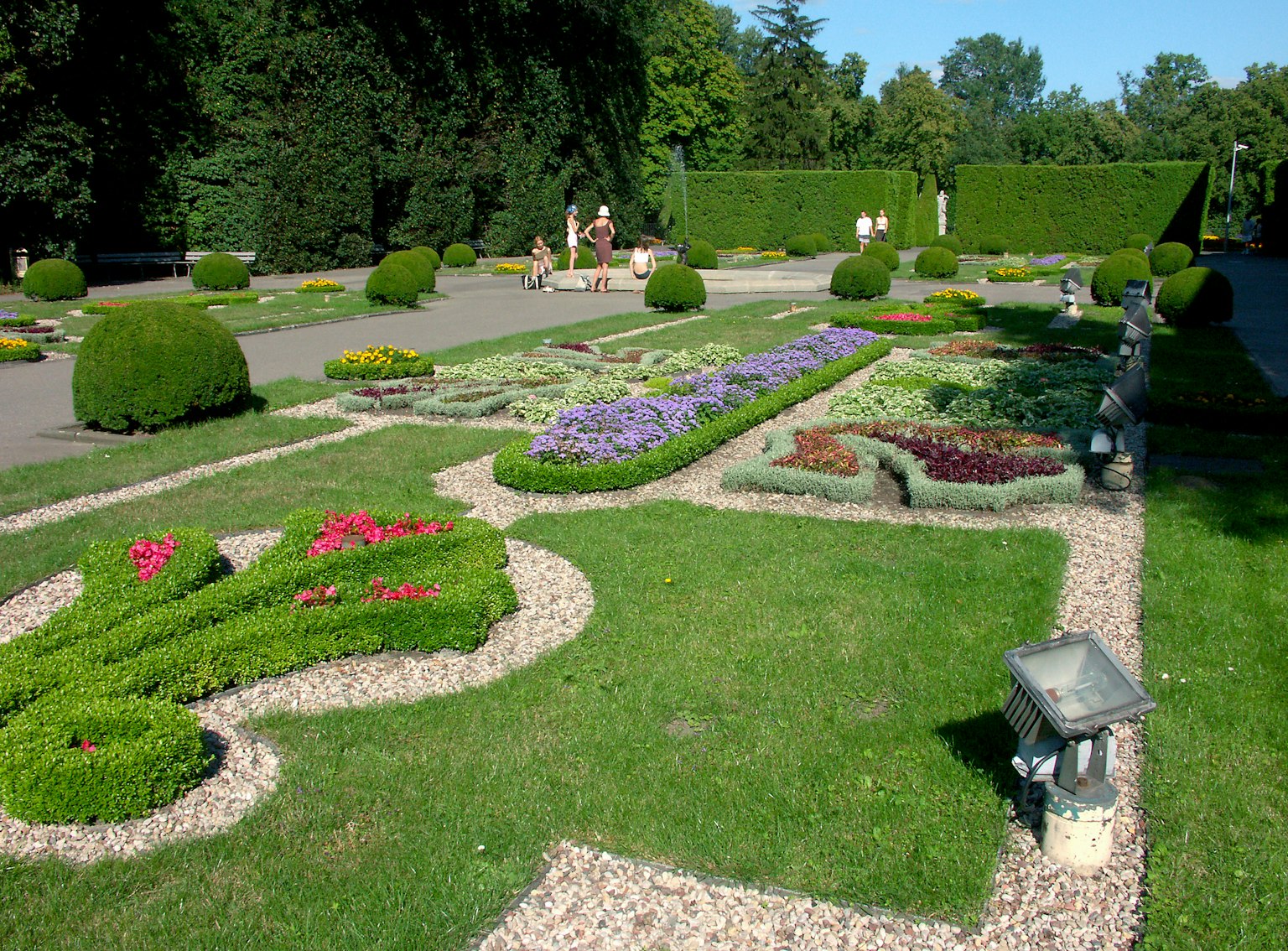 Bellissimo paesaggio di giardino con fiori vari e piante verdi disposte ordinatamente