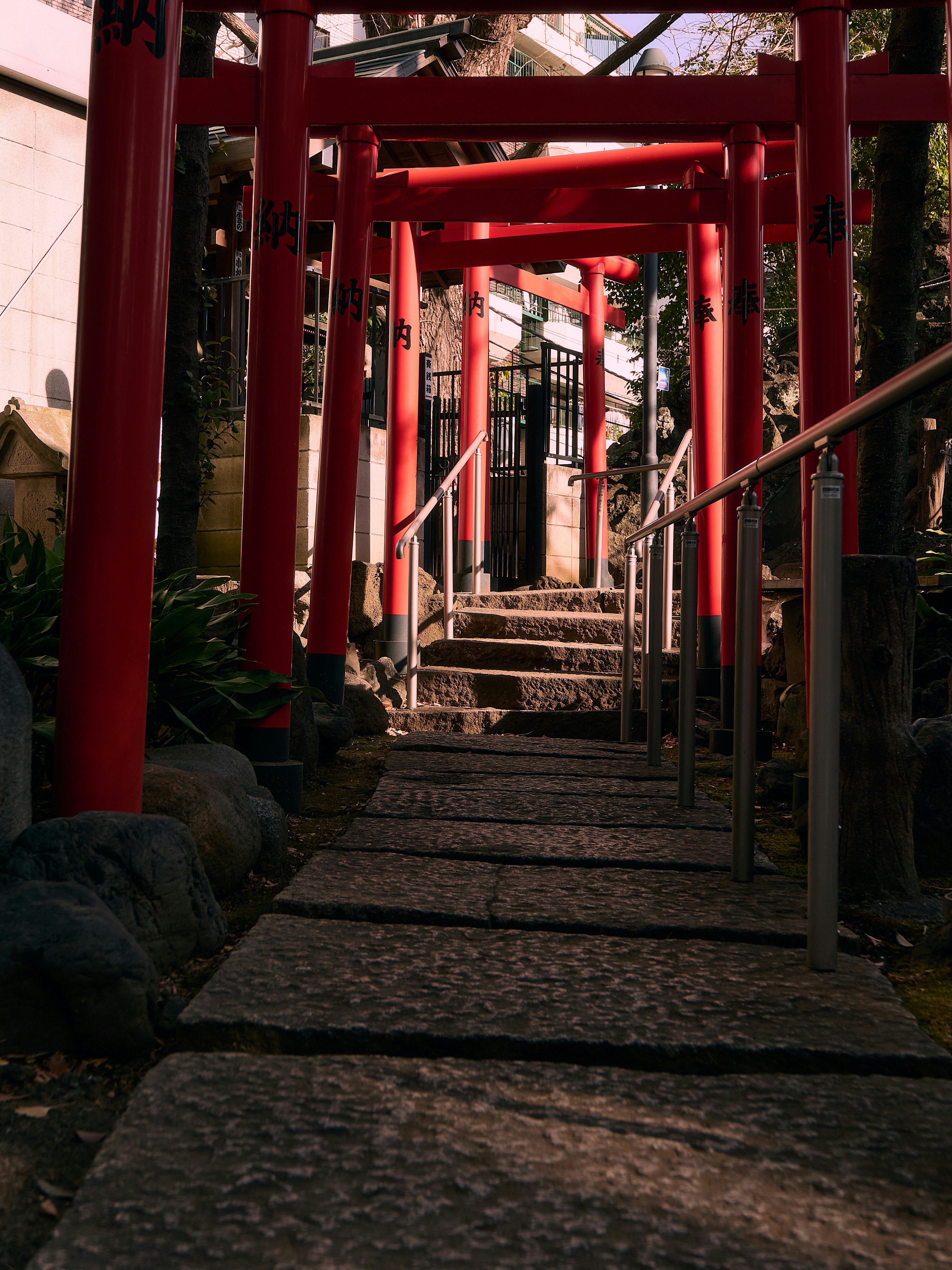 朱色の鳥居が並ぶ石段の参道