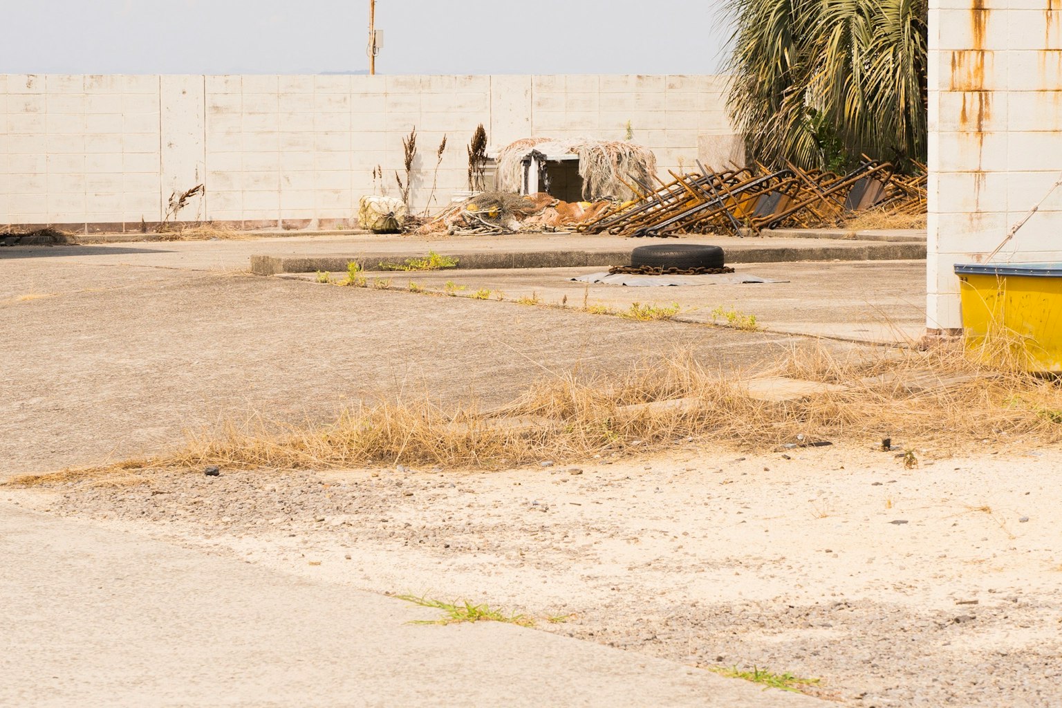 荒れた駐車場の風景 壁に穴が開いている 植物が生えている