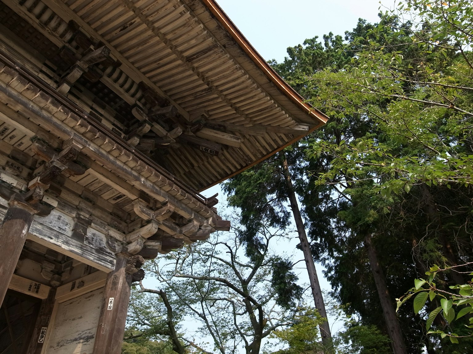 Ancient temple roof with surrounding lush greenery