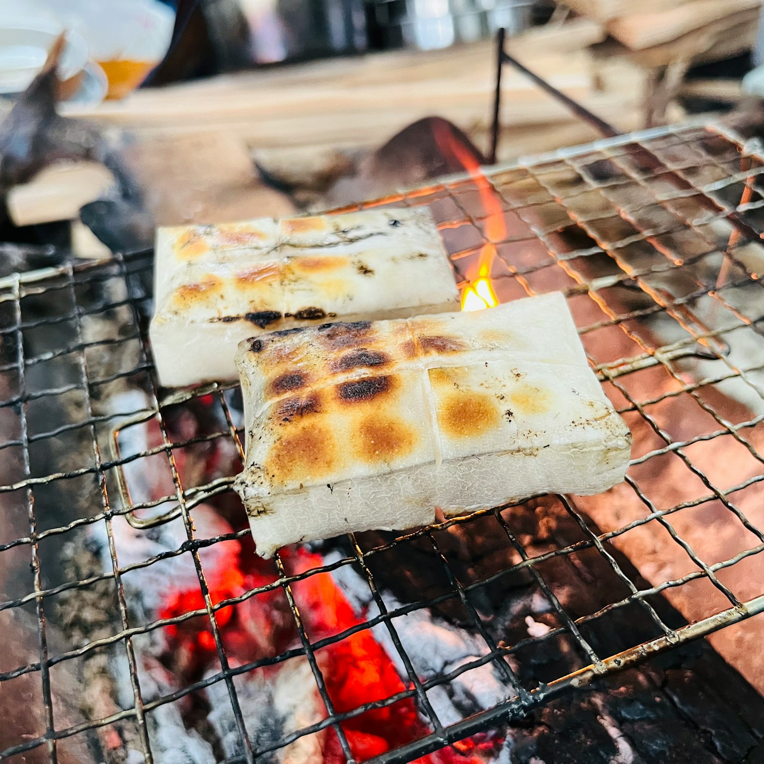 两个矩形的烤食物放在发光的炭火上方的铁丝架上