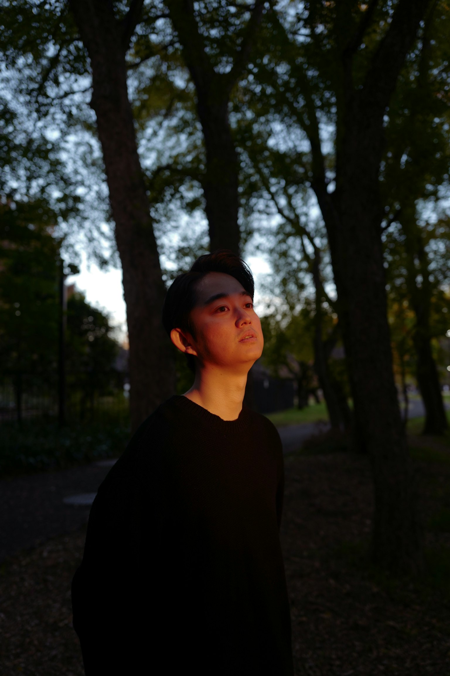 夕暮れの公園で黒い服を着た青年が立っている周囲は木々に囲まれている