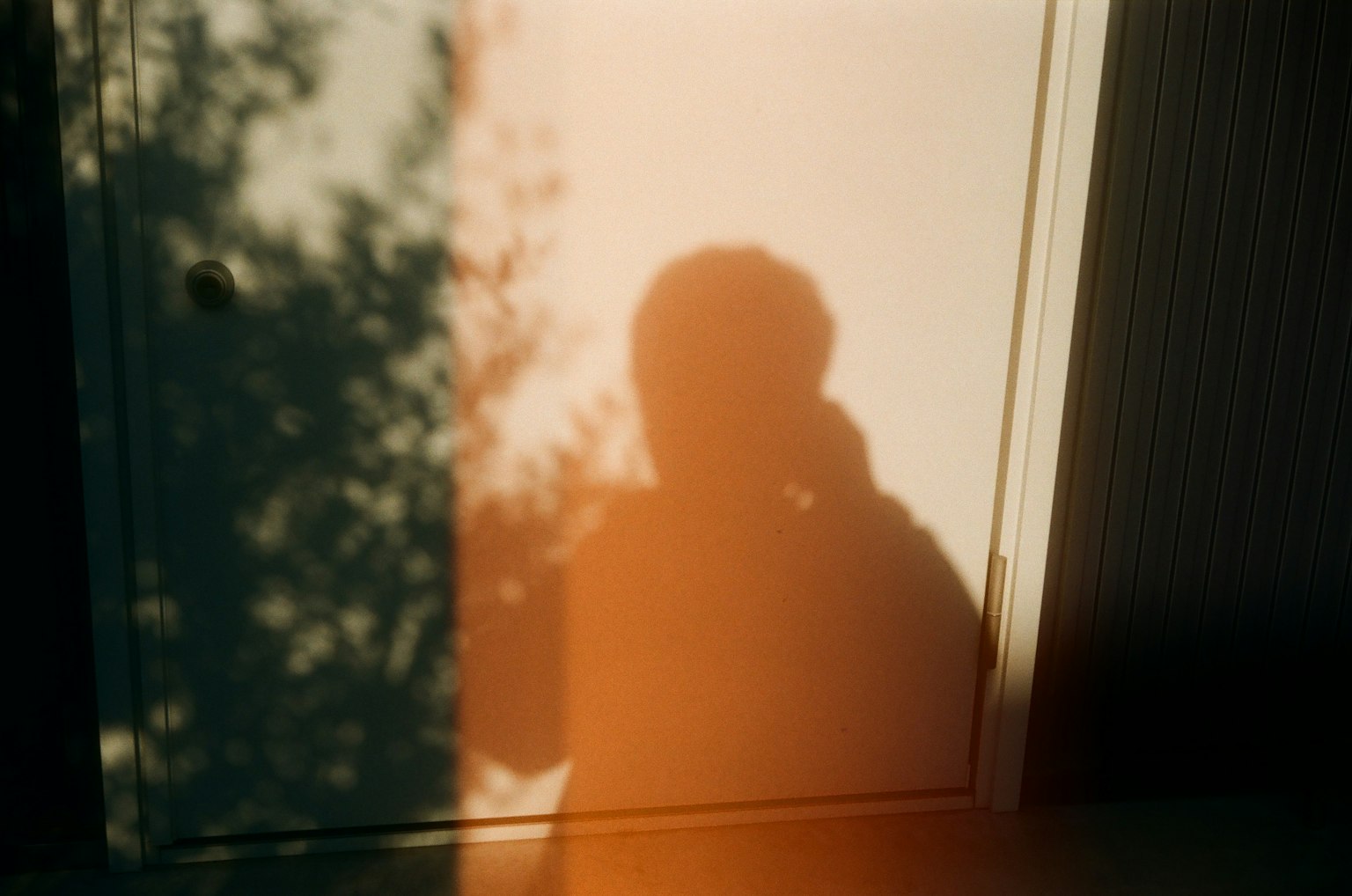 photo-FQcaLkSM6QO4MiNM5DBG-image