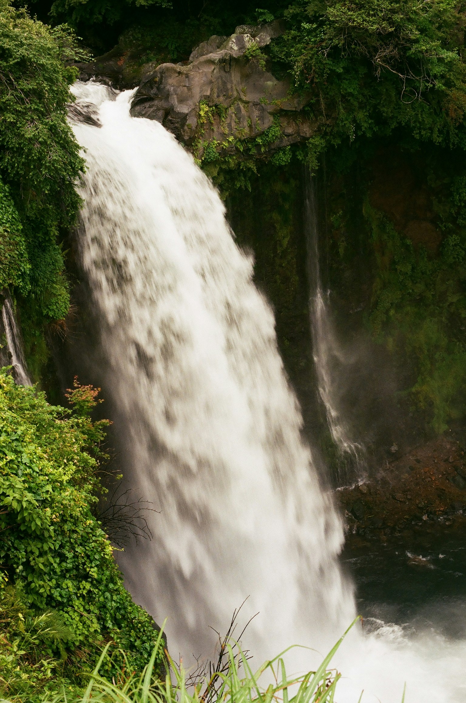 Une belle cascade entourée d'une végétation luxuriante