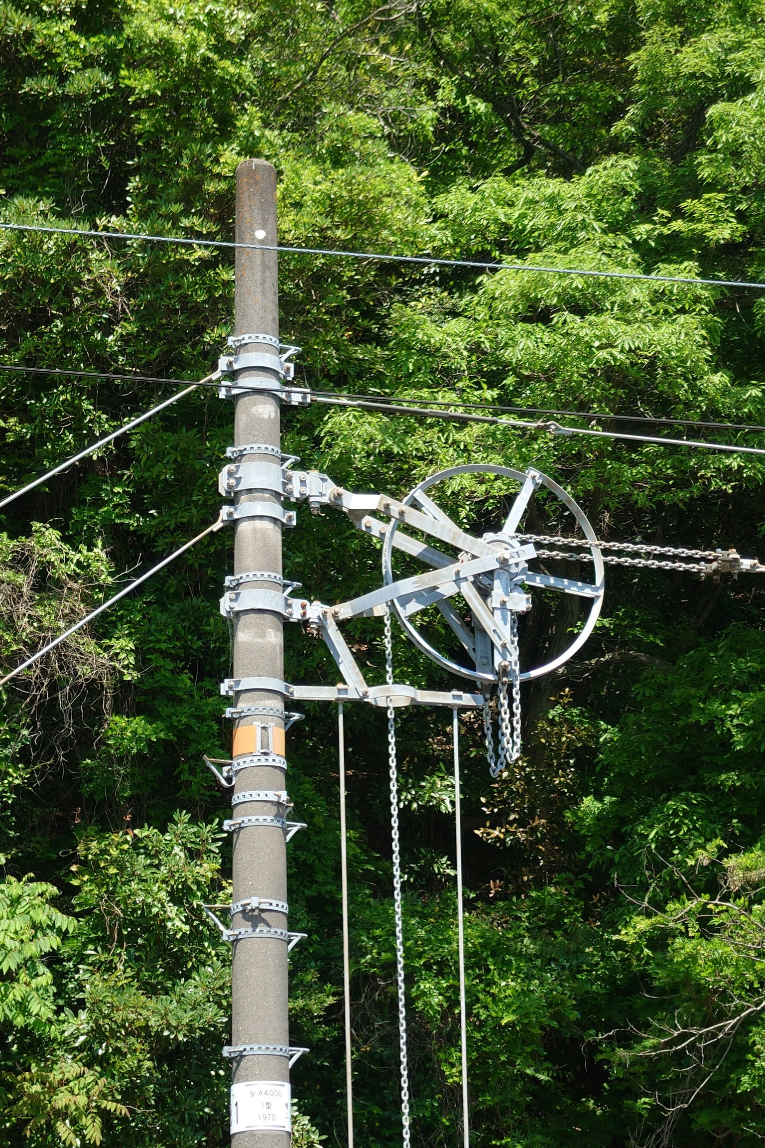 電杆和電線及滑輪在綠色樹木背景下