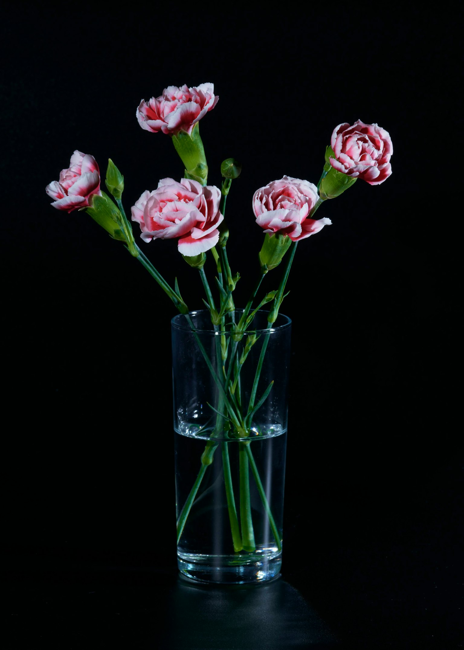 Vaso trasparente con garofani rosa e bianchi su sfondo nero