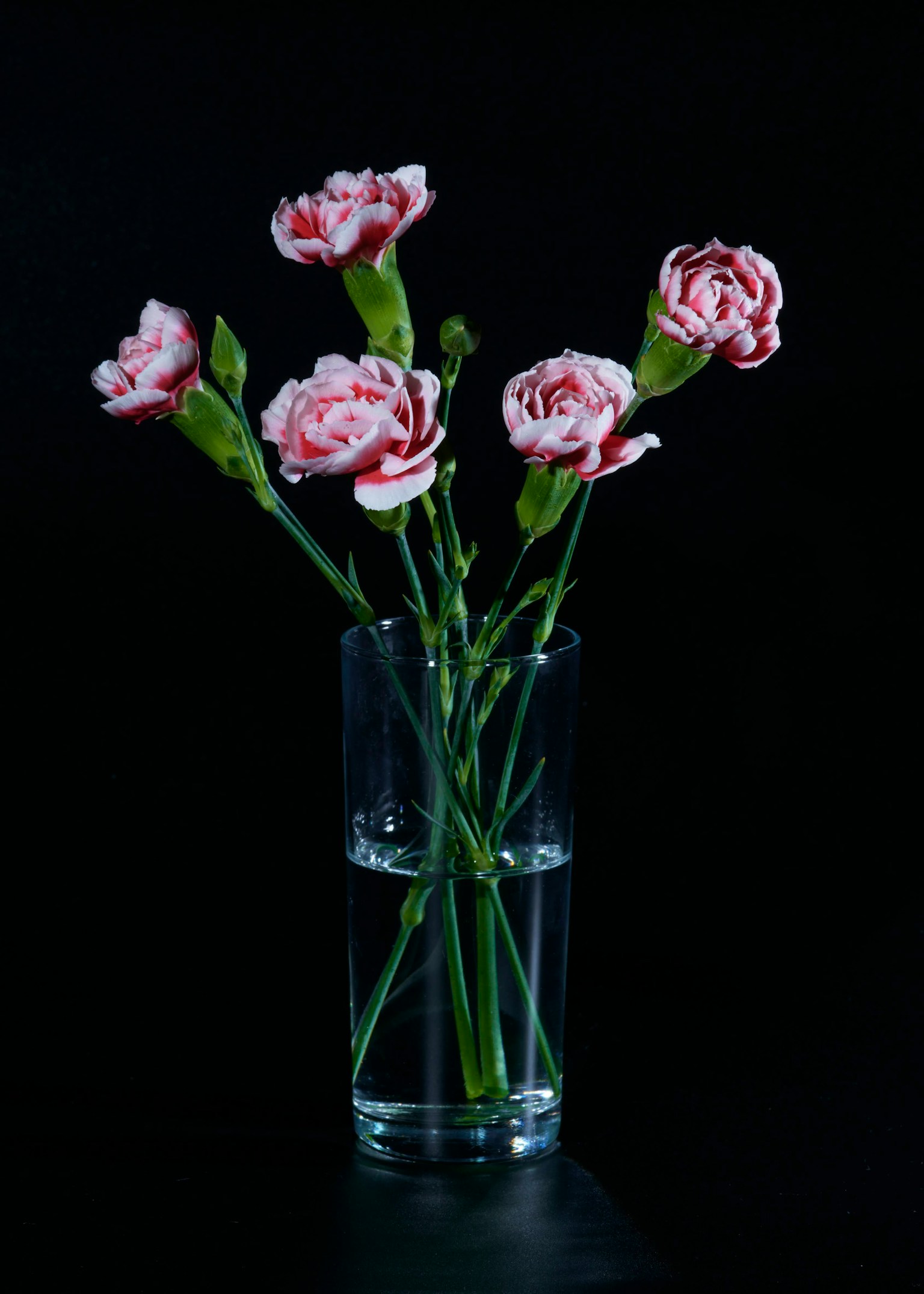 photo-FSMRbyDtZWv1YLhPh3ez-image