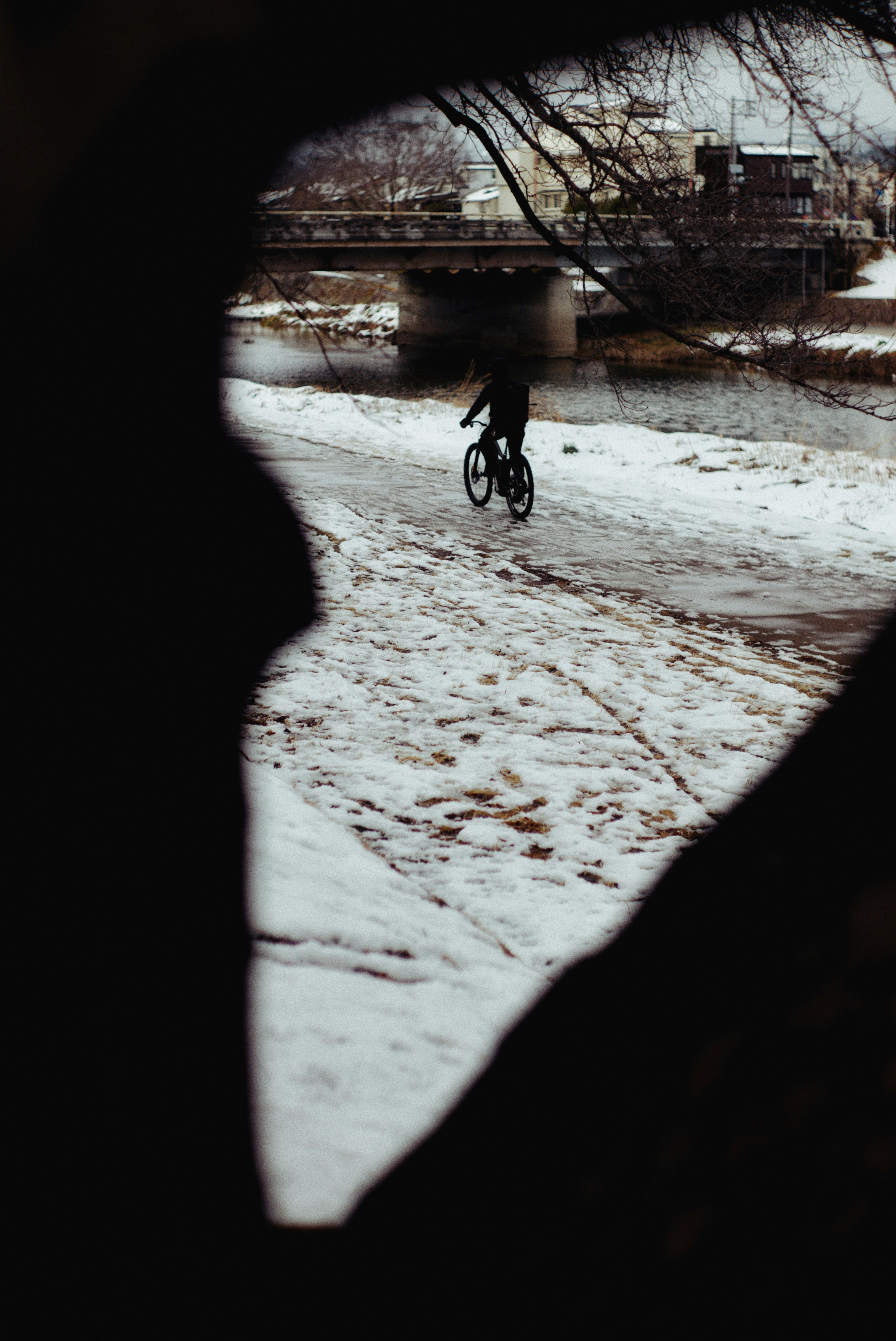 雪の中を自転車で走る人が見える木の間からの視界