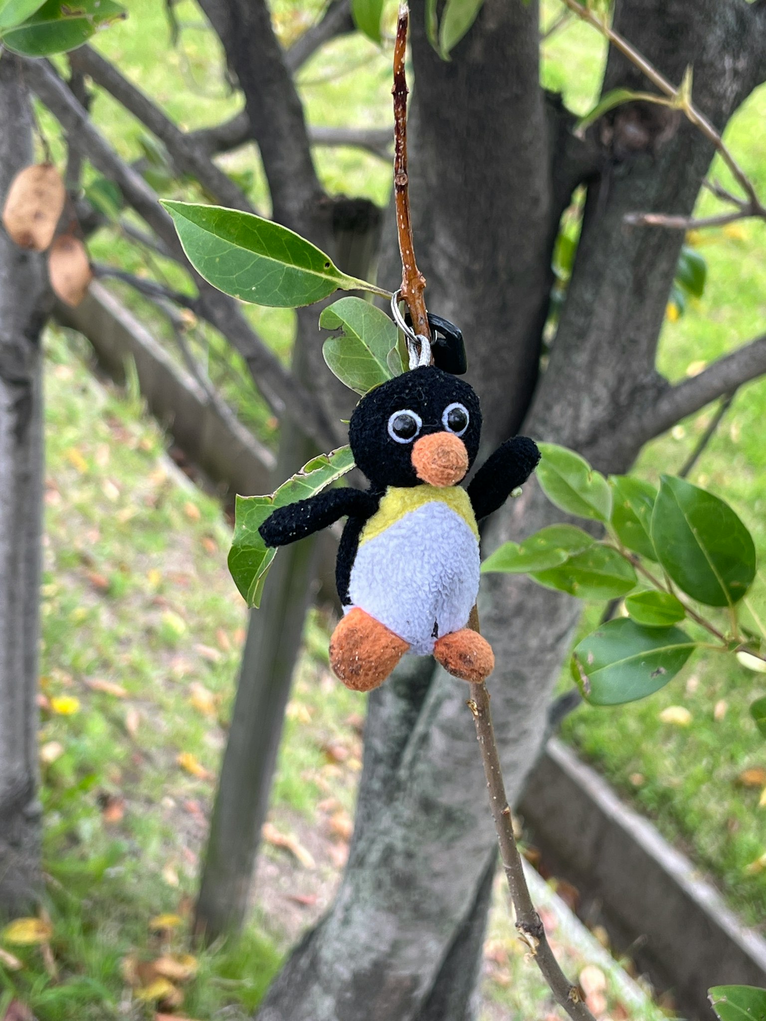 Piccolo pinguino di peluche appeso a un ramo d'albero