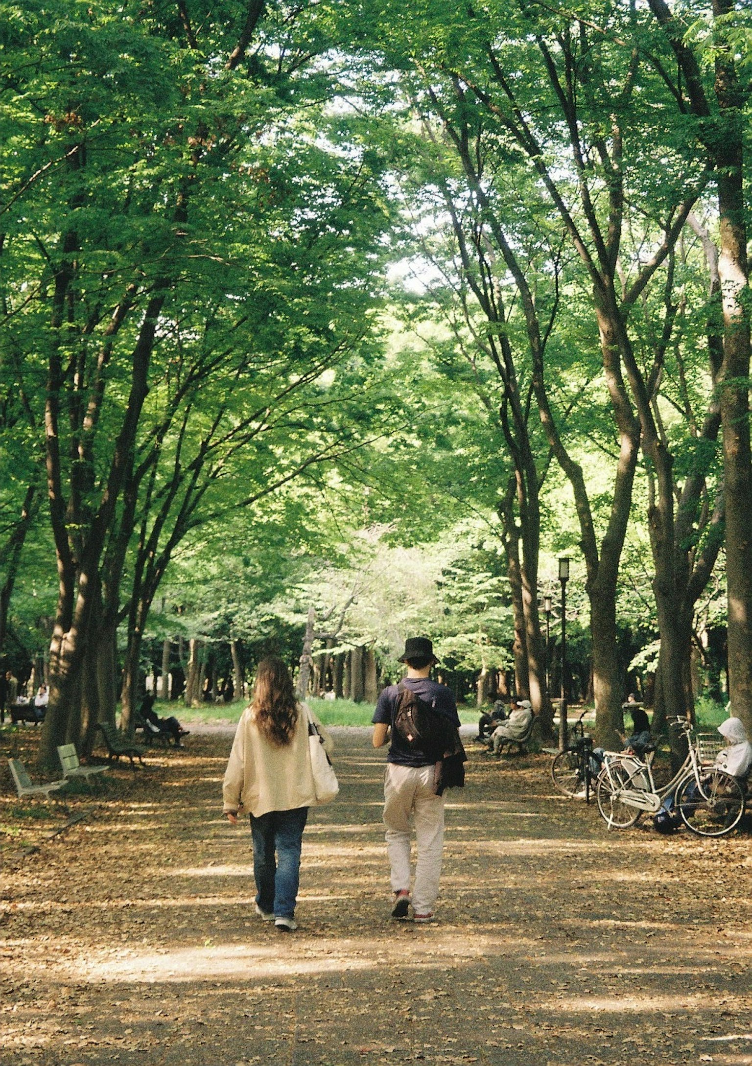 Pareja caminando por un camino arbolado con follaje verde