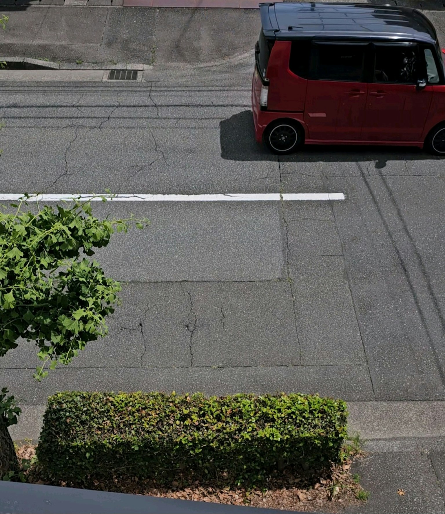 Straßenansicht mit einem roten Auto, das an grünem Laub und einer niedrigen Hecke vorbeifährt