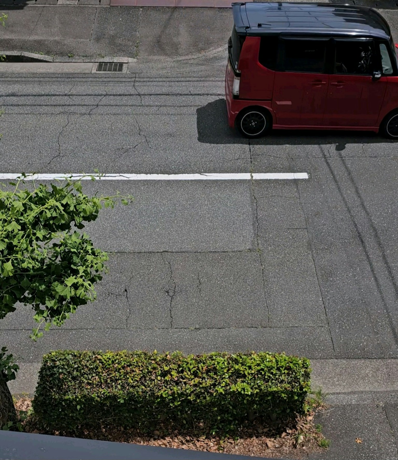 Street view with a red car passing by green foliage and a low hedge
