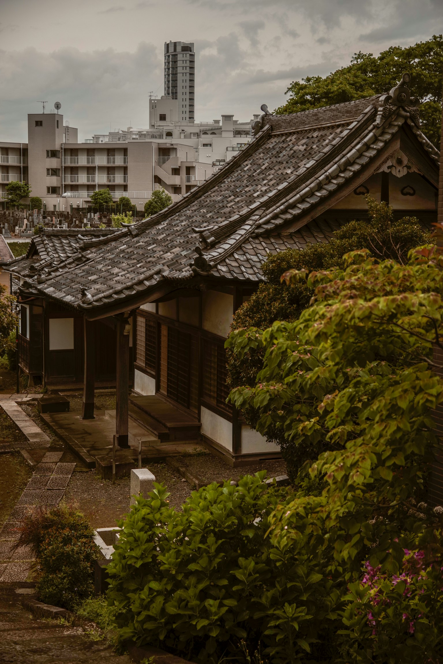 Ngôi nhà truyền thống Nhật Bản bao quanh bởi cây xanh tươi tốt tòa nhà hiện đại phía sau