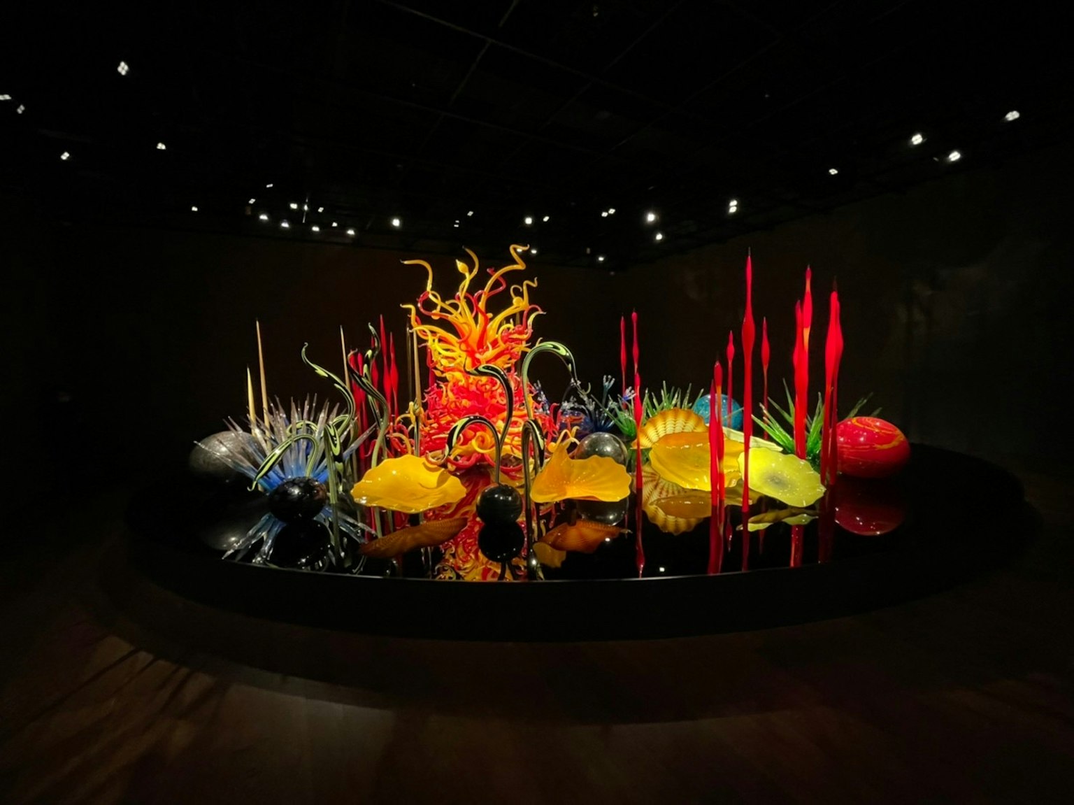 Installation de sculptures en verre vibrantes exposées dans l'intérieur d'un musée