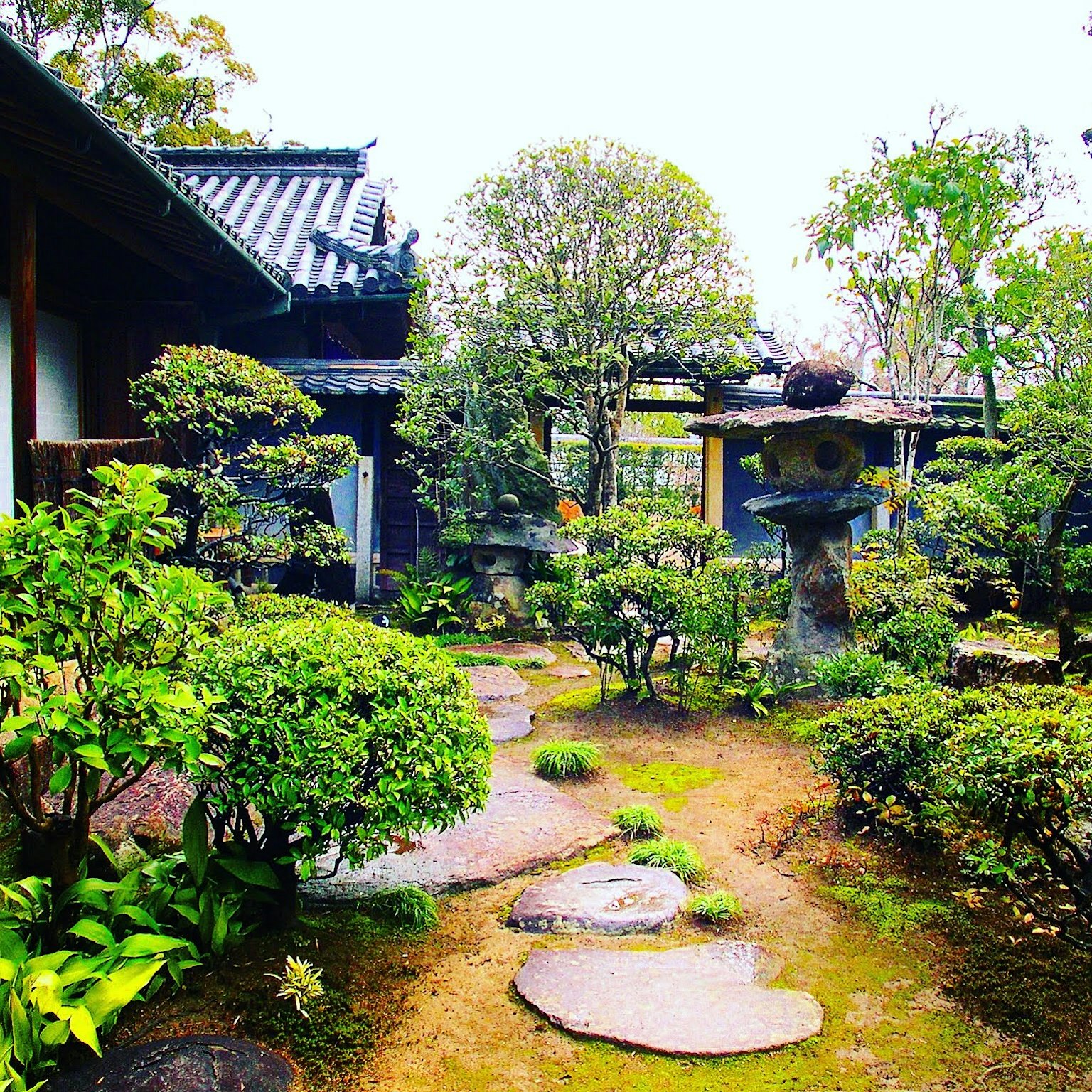 Beautiful Japanese garden scene with stone pathway and lush greenery