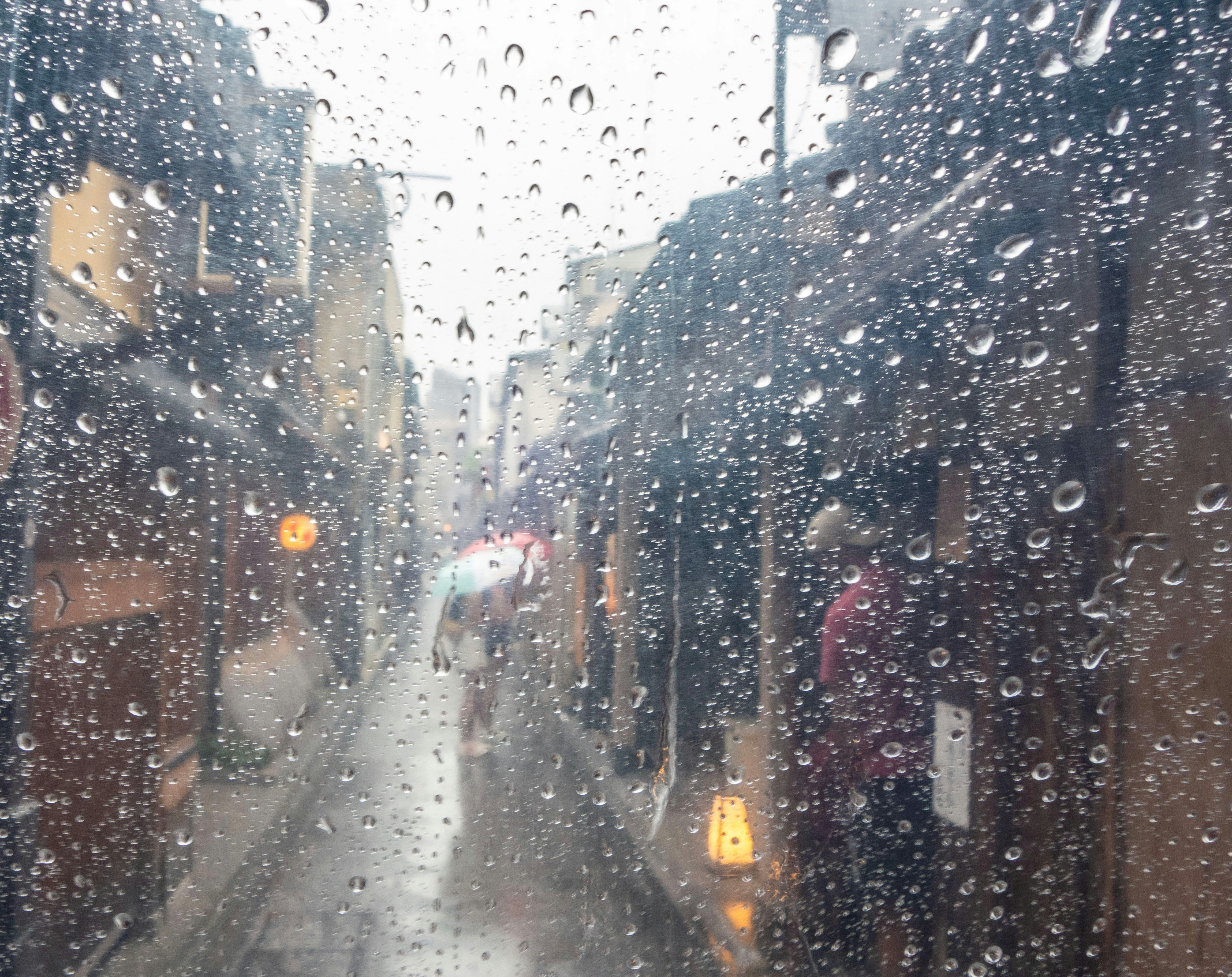 雨の日の京都の路地を歩く人々の後ろ姿