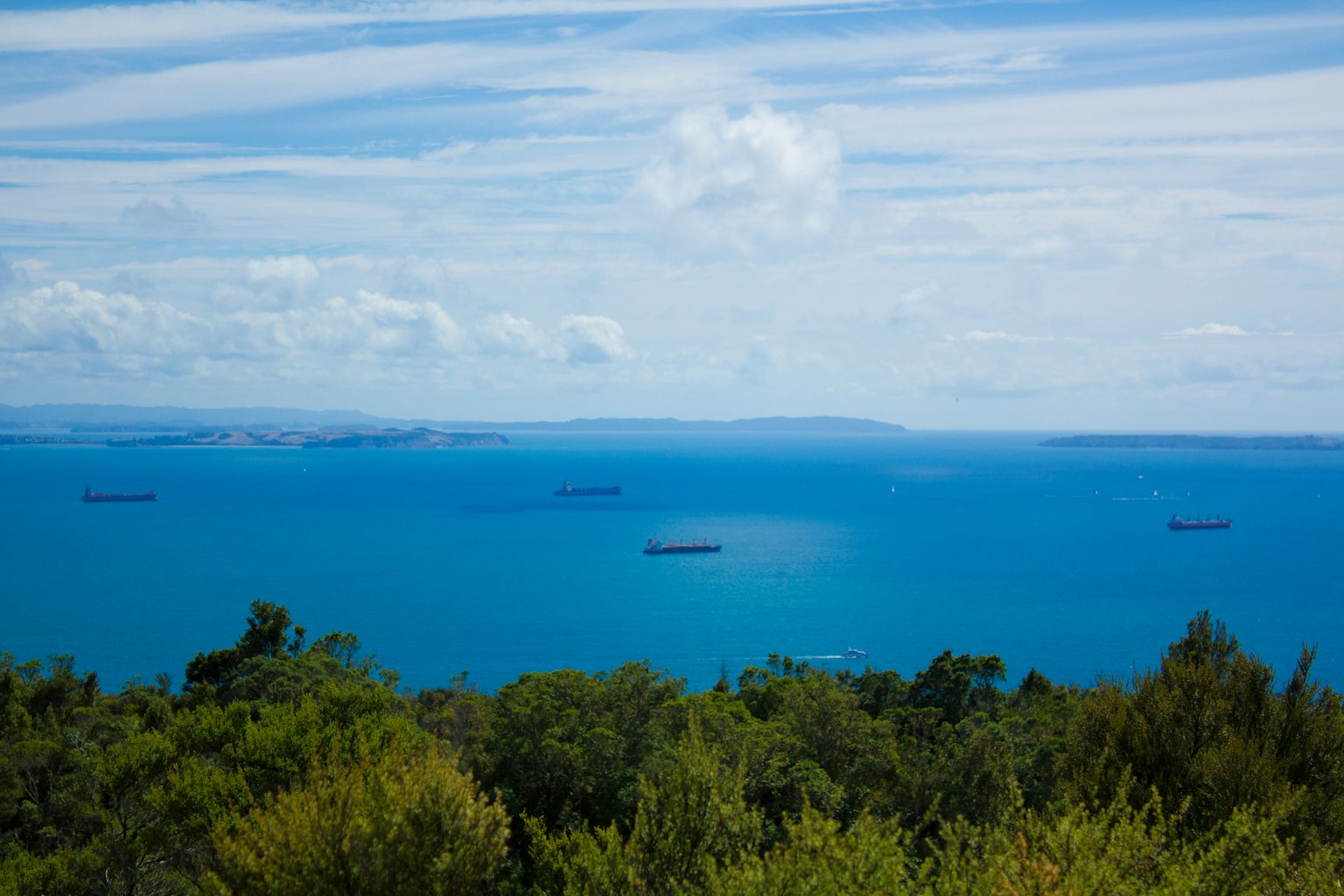 Panoramablick auf den blauen Ozean mit Schiffen und grünem Laub