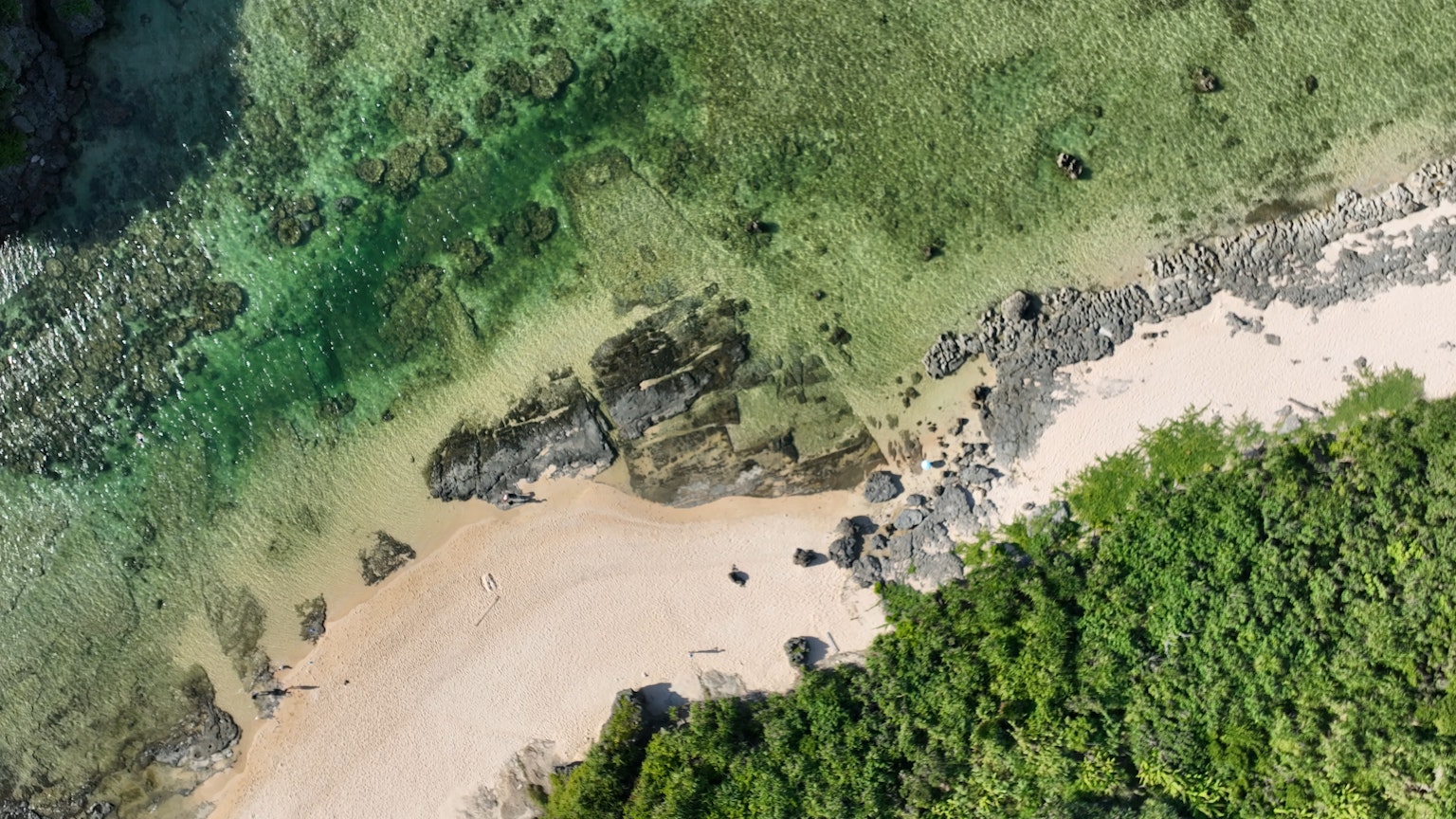 Vista aérea de una playa con vegetación verde contrastante y una costa rocosa