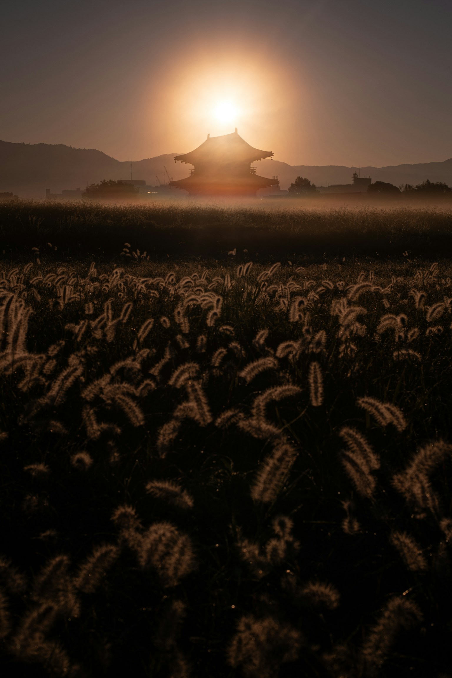 photo-FVJEFU1NkO7kISnHYRqJ-image