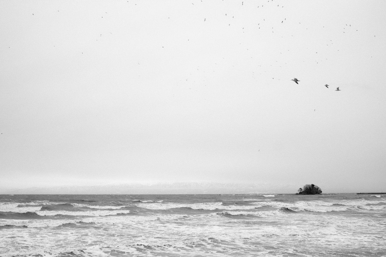 Black and white seascape featuring a small boat and flying birds