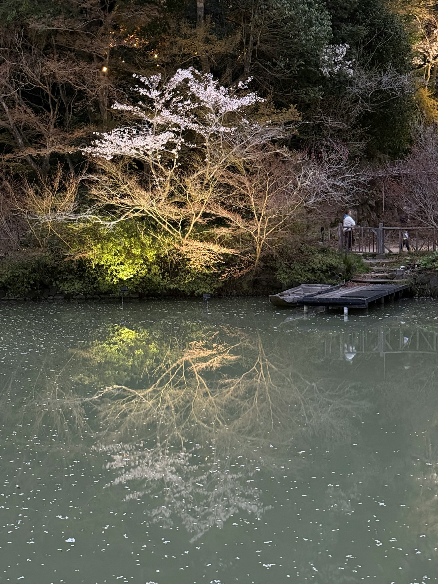 Nachtszene mit einem Kirschbaum am Teich und seinem Spiegelbild