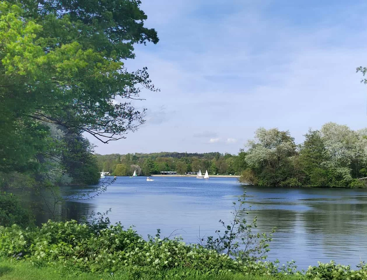 Scenic view of a river with sailboats under a blue sky