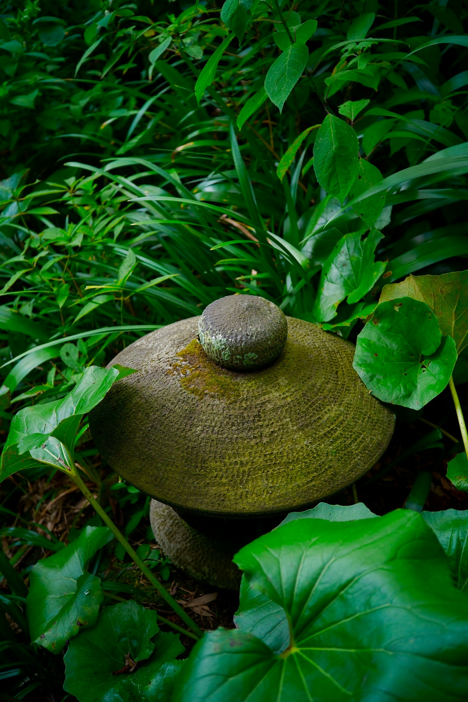 苔むした石の香炉と緑の葉に囲まれた庭の一角