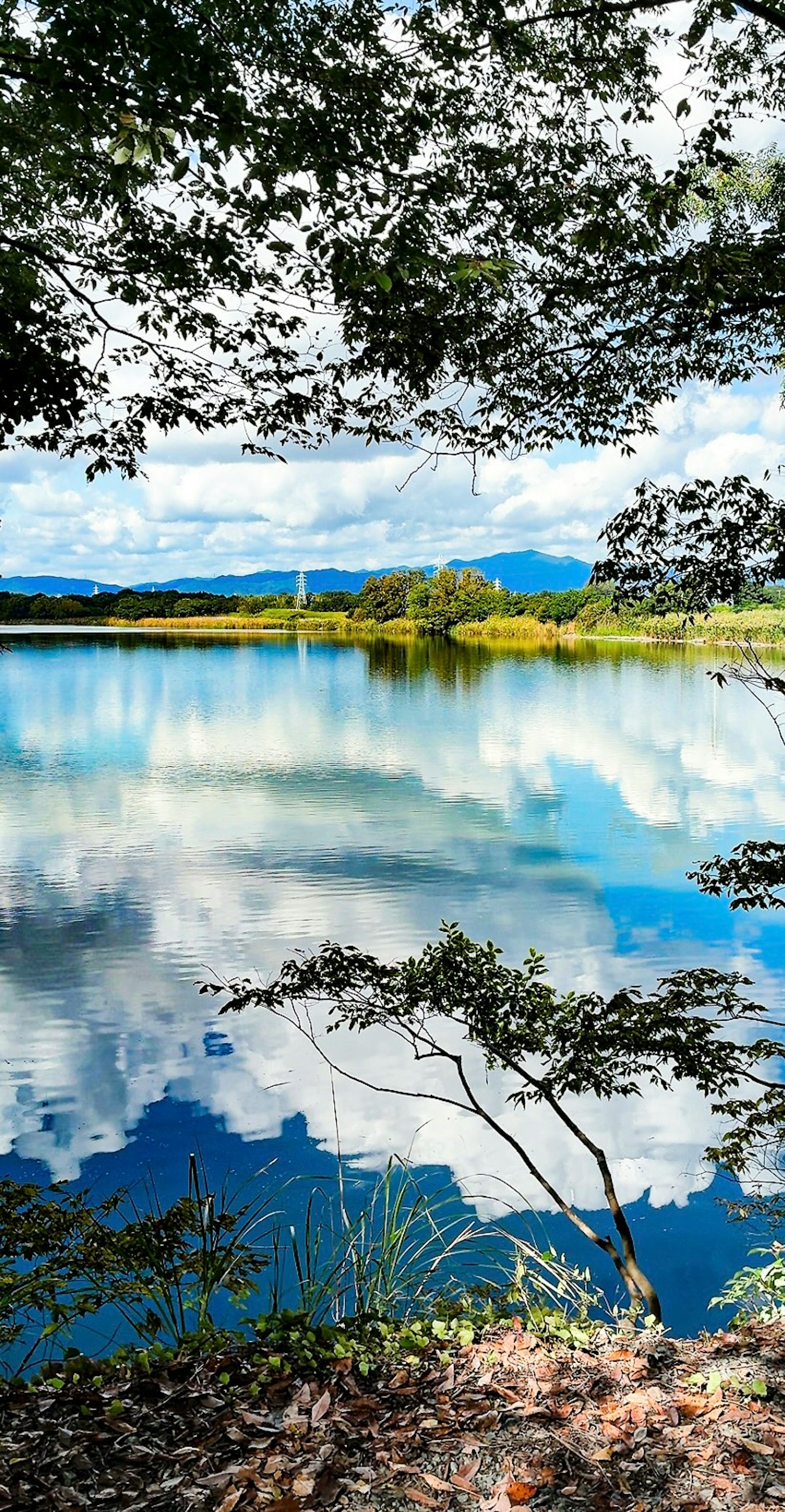 湖の静かな水面に映る雲と山々の美しい風景