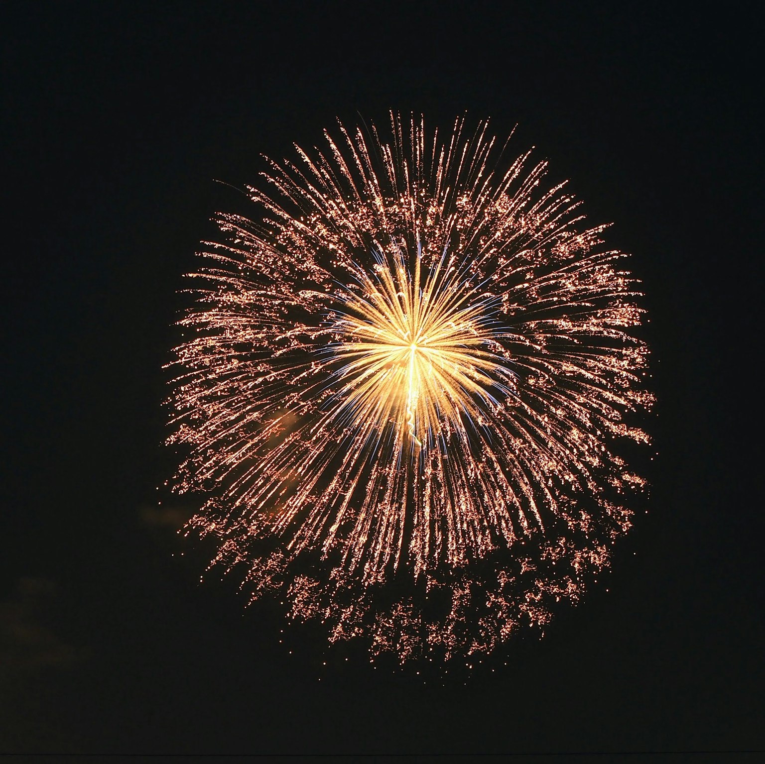 Un gran fuego artificial estallando en el cielo nocturno