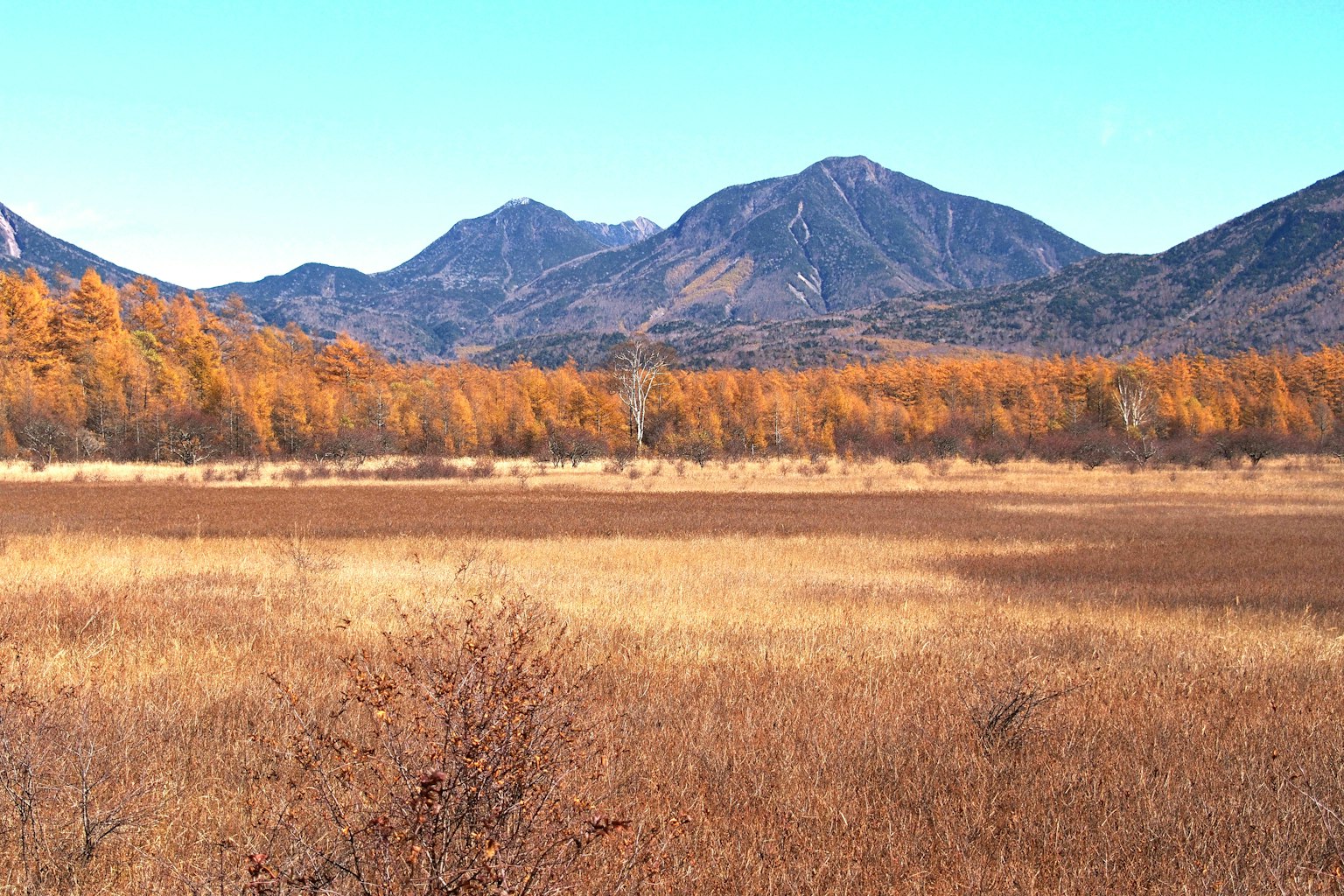 Vue panoramique de montagnes et feuillage d'automne avec des arbres dorés
