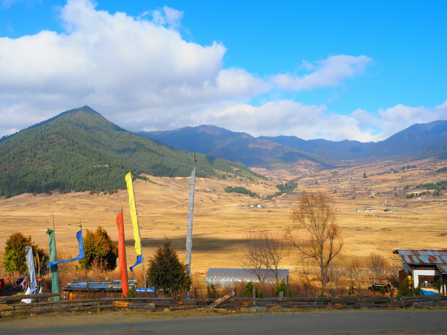色彩斑斓的雕塑与山脉和开阔田野的风景