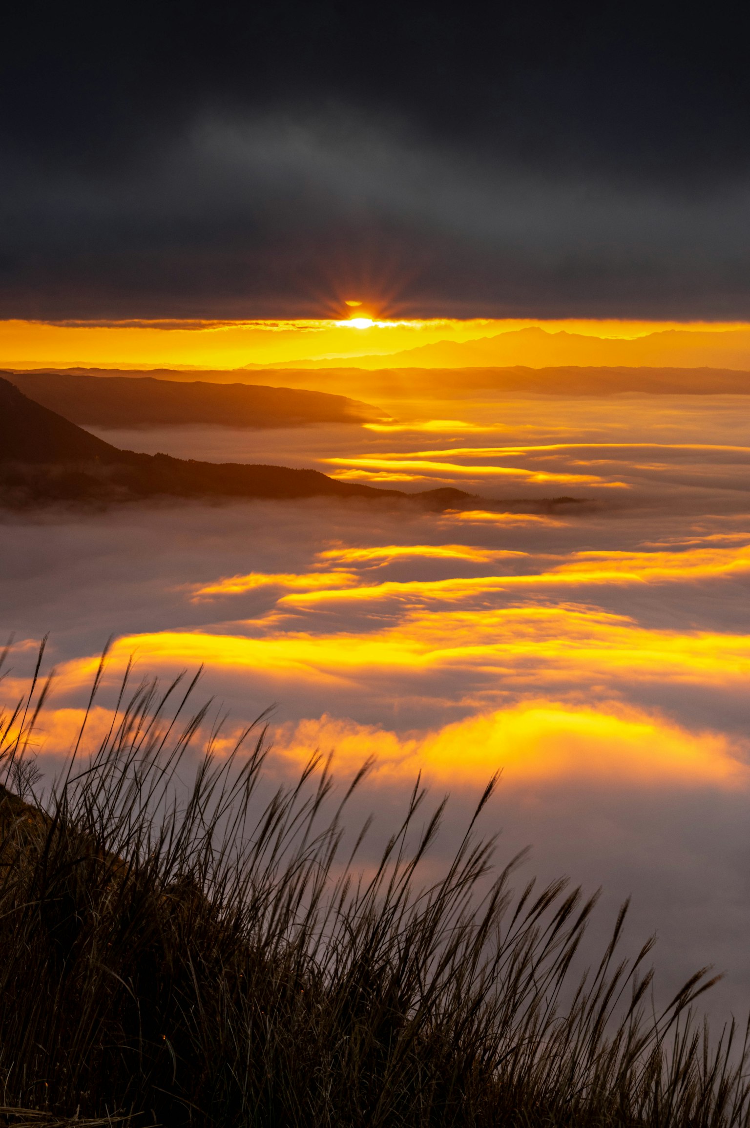 Hermoso atardecer sobre un mar de nubes con hierba en primer plano